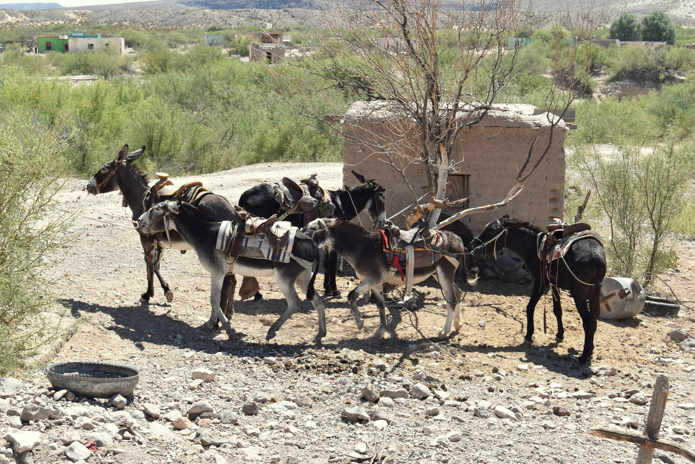 US15 0917 116 Boquillas Del Carmen, Mexico