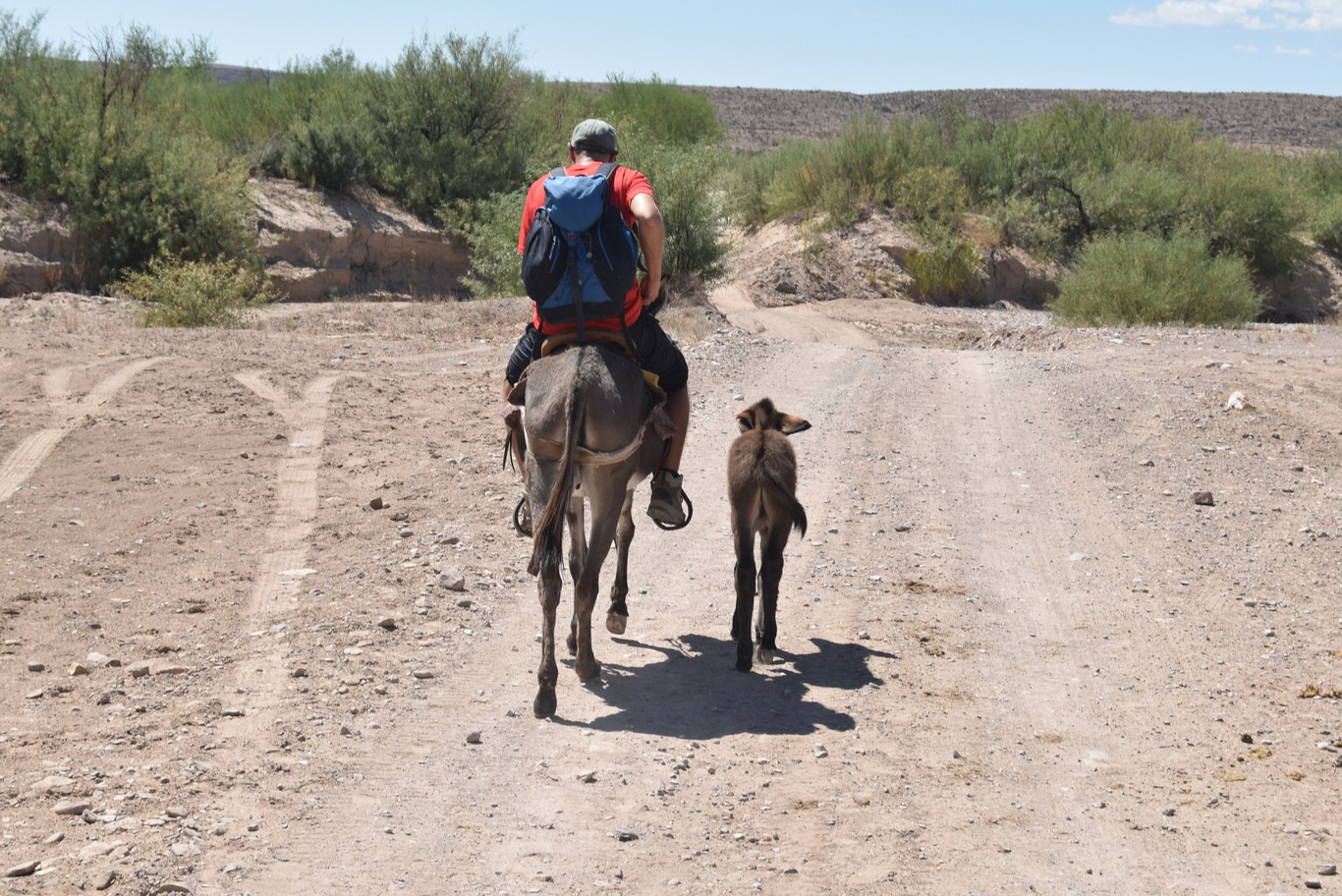 US15 0917 121 Boquillas Del Carmen, Mexico