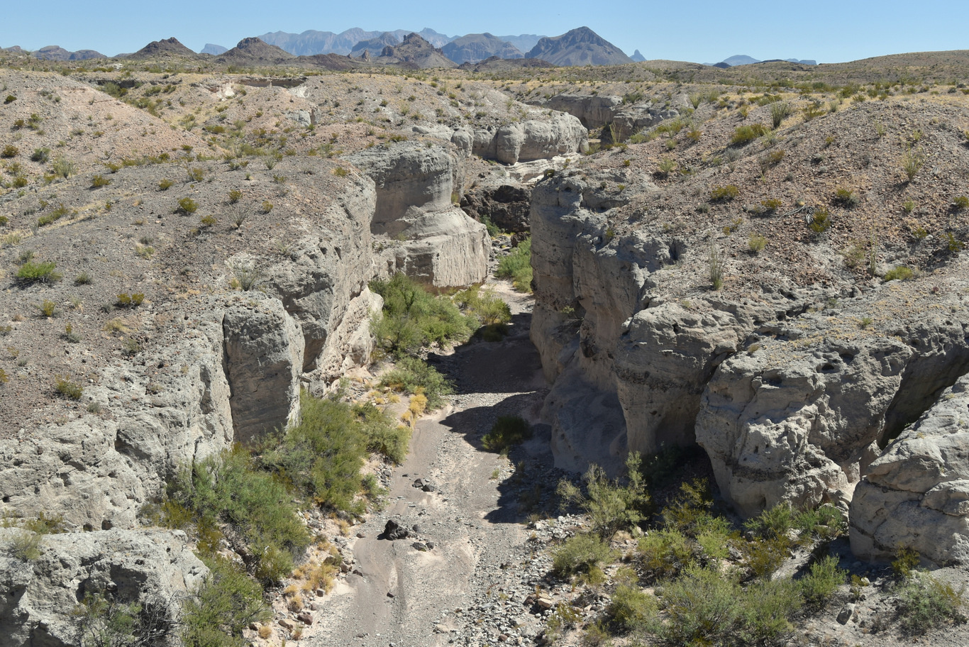 US15 0918 05 Ross Maxwell Scenic Drive, Big Bend NP, TX