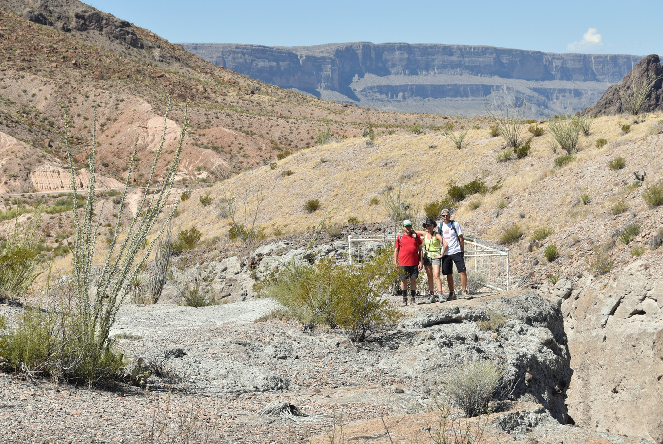 US15 0918 09 Ross Maxwell Scenic Drive, Big Bend NP, TX