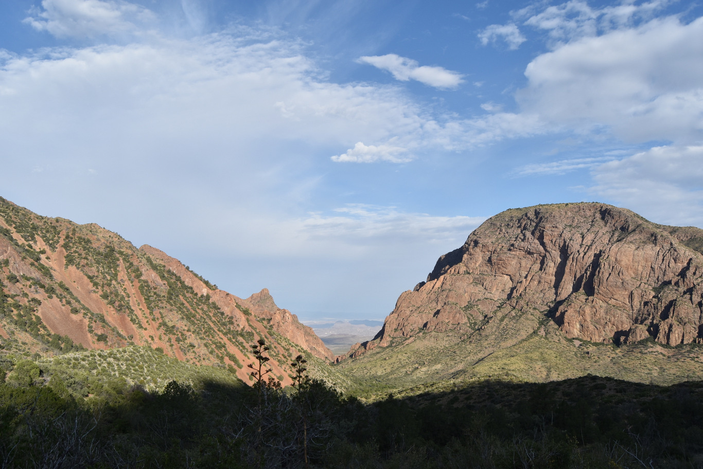 US15 0920 03 Chisos Mountain, Big Bend NP, TX