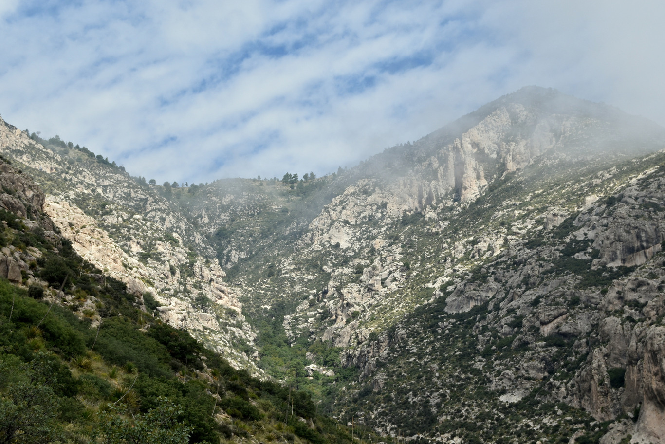 US15 0924 03 Guadalupe Mtns NP, TX