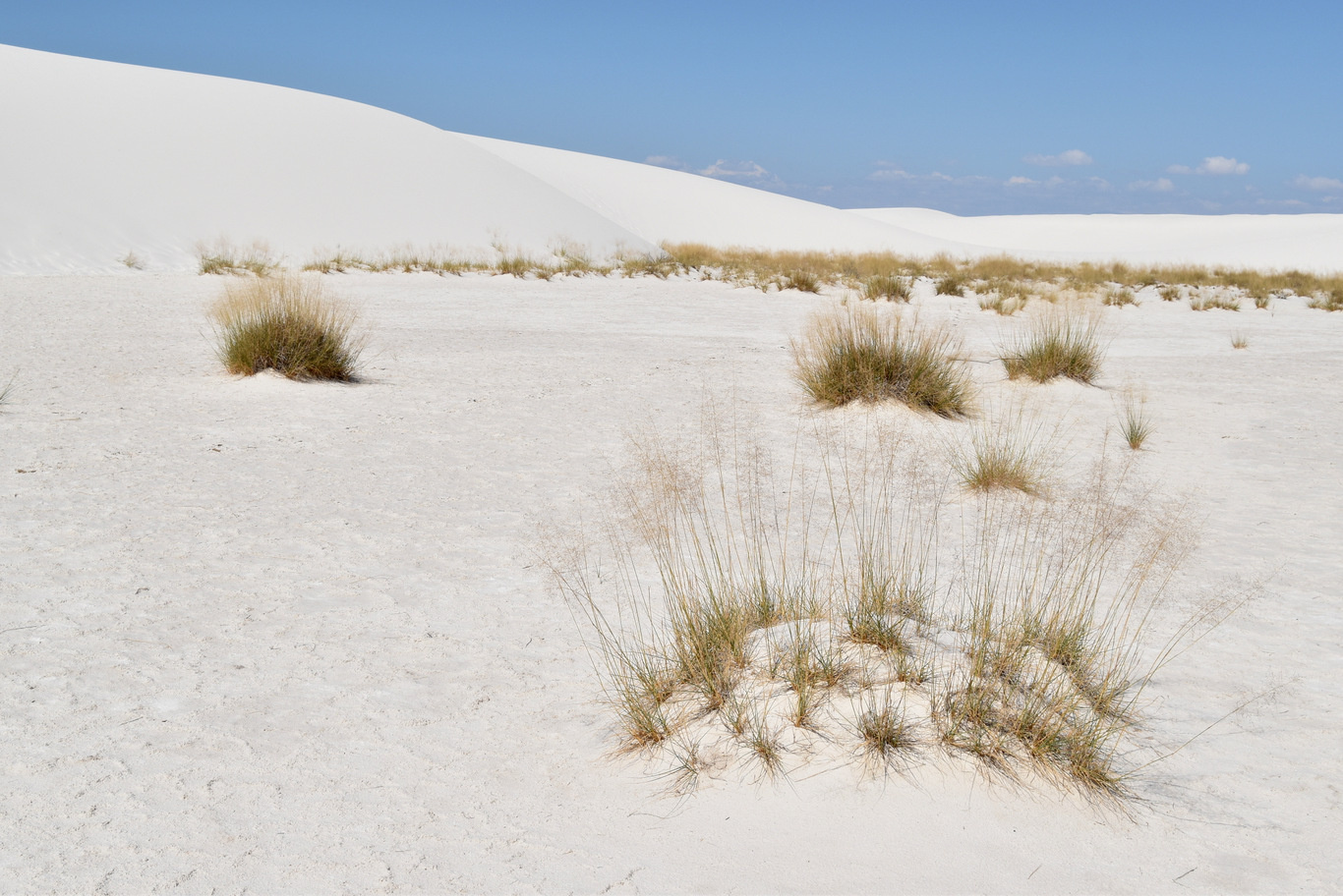 US15 0925 40 White Sands NM, NM