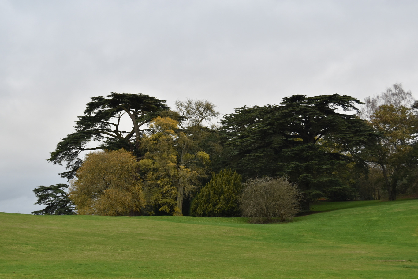 20151122 015 Blenheim Palace