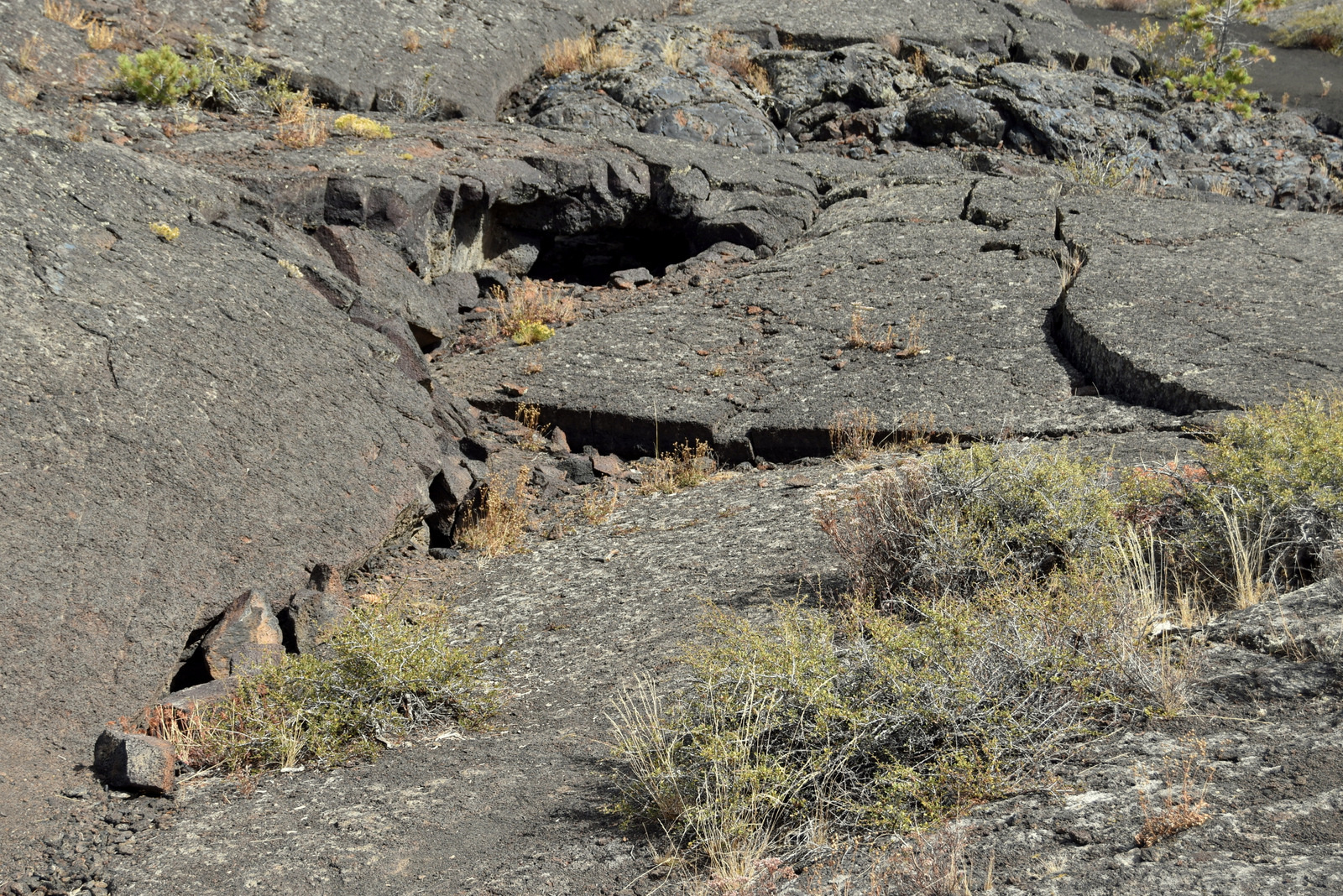 US160918 Craters Of The Moon NM, ID 040