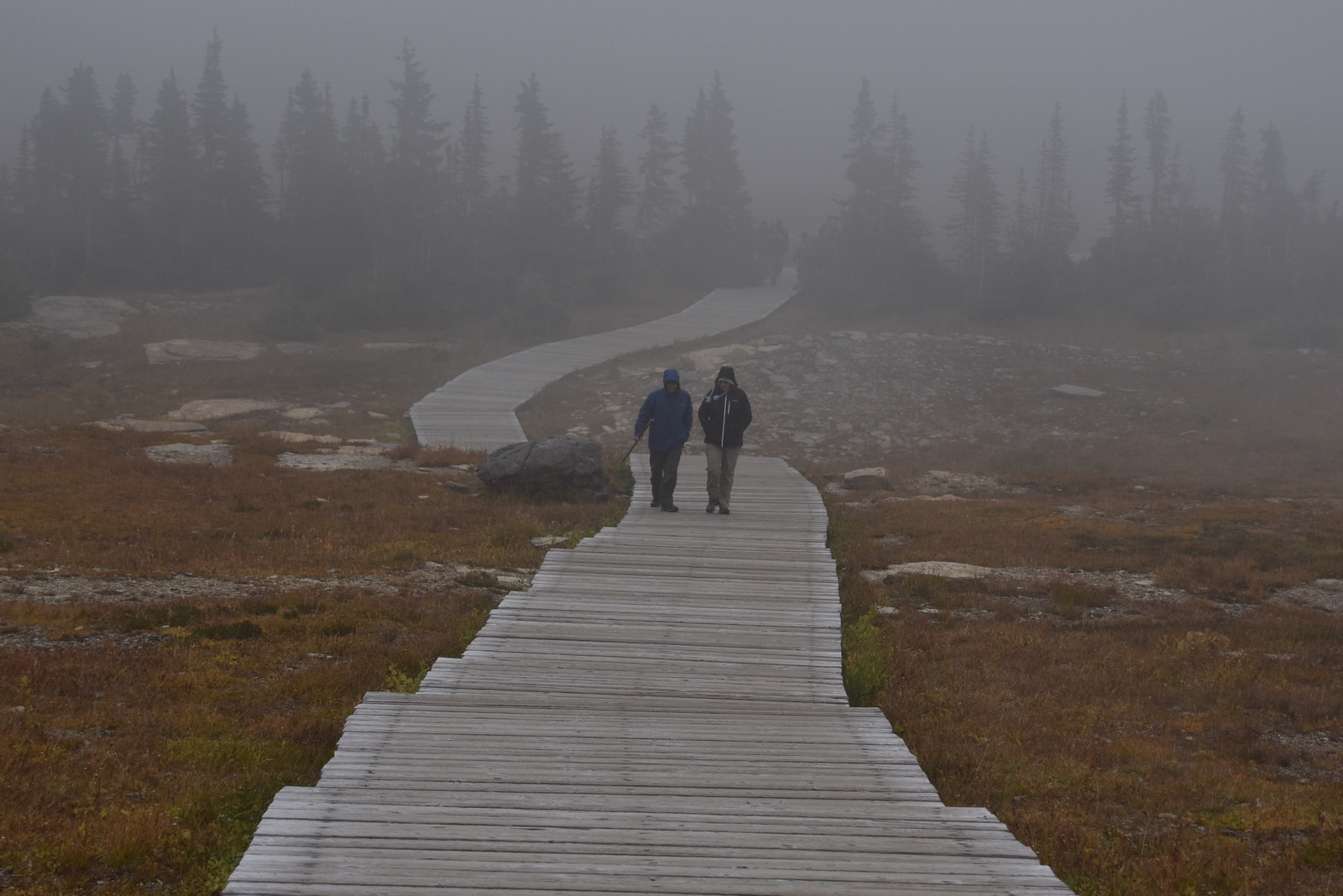 US160921 Glacier NP, MT 037