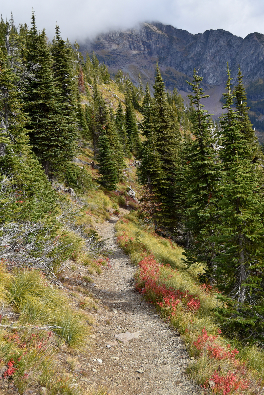 US160922 Glacier NP, MT 045