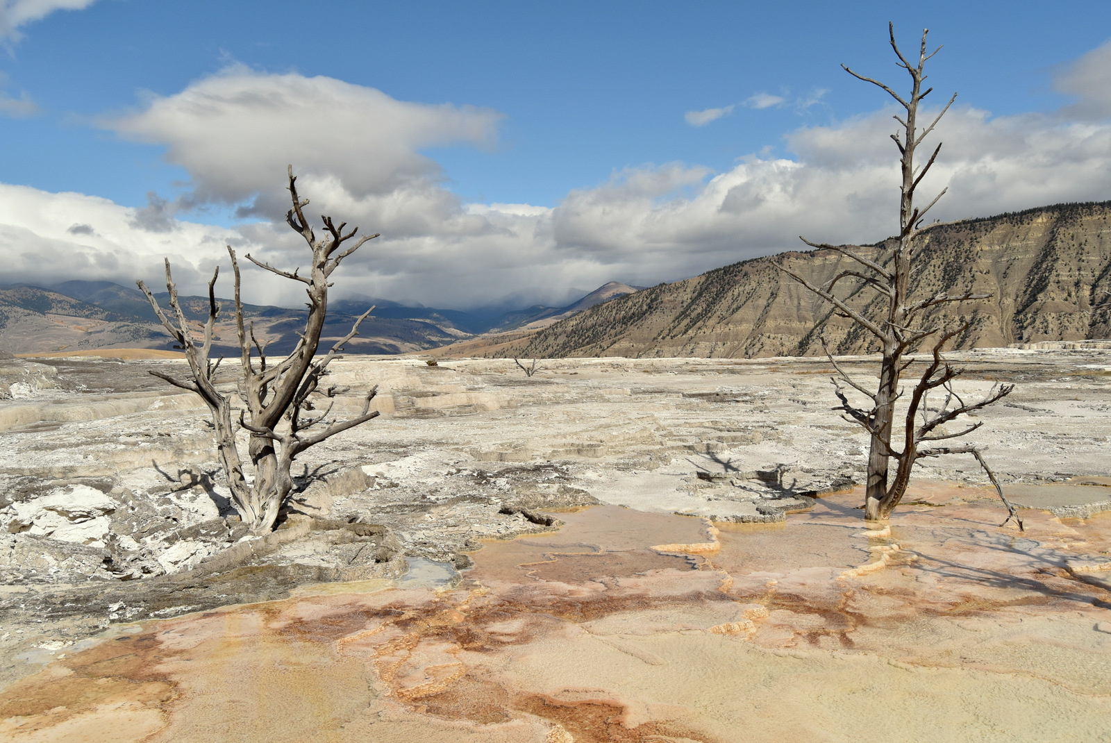 US160924 042 Yellowstone NP, WY