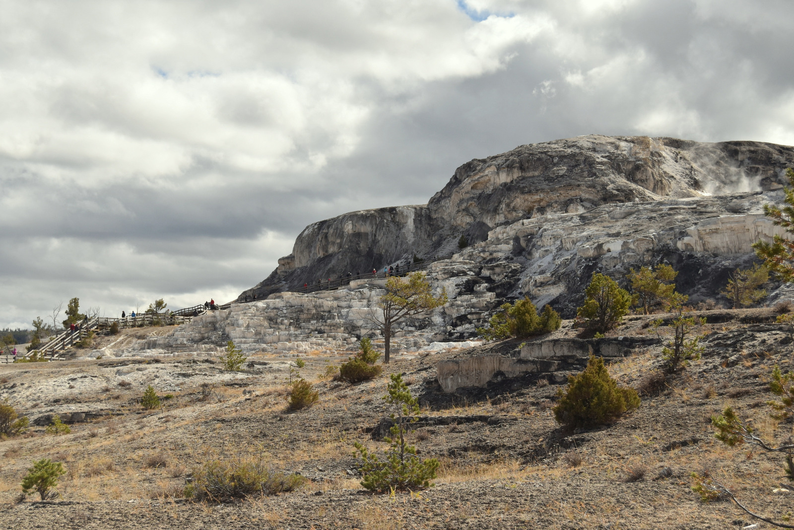 US160924 052 Yellowstone NP, WY