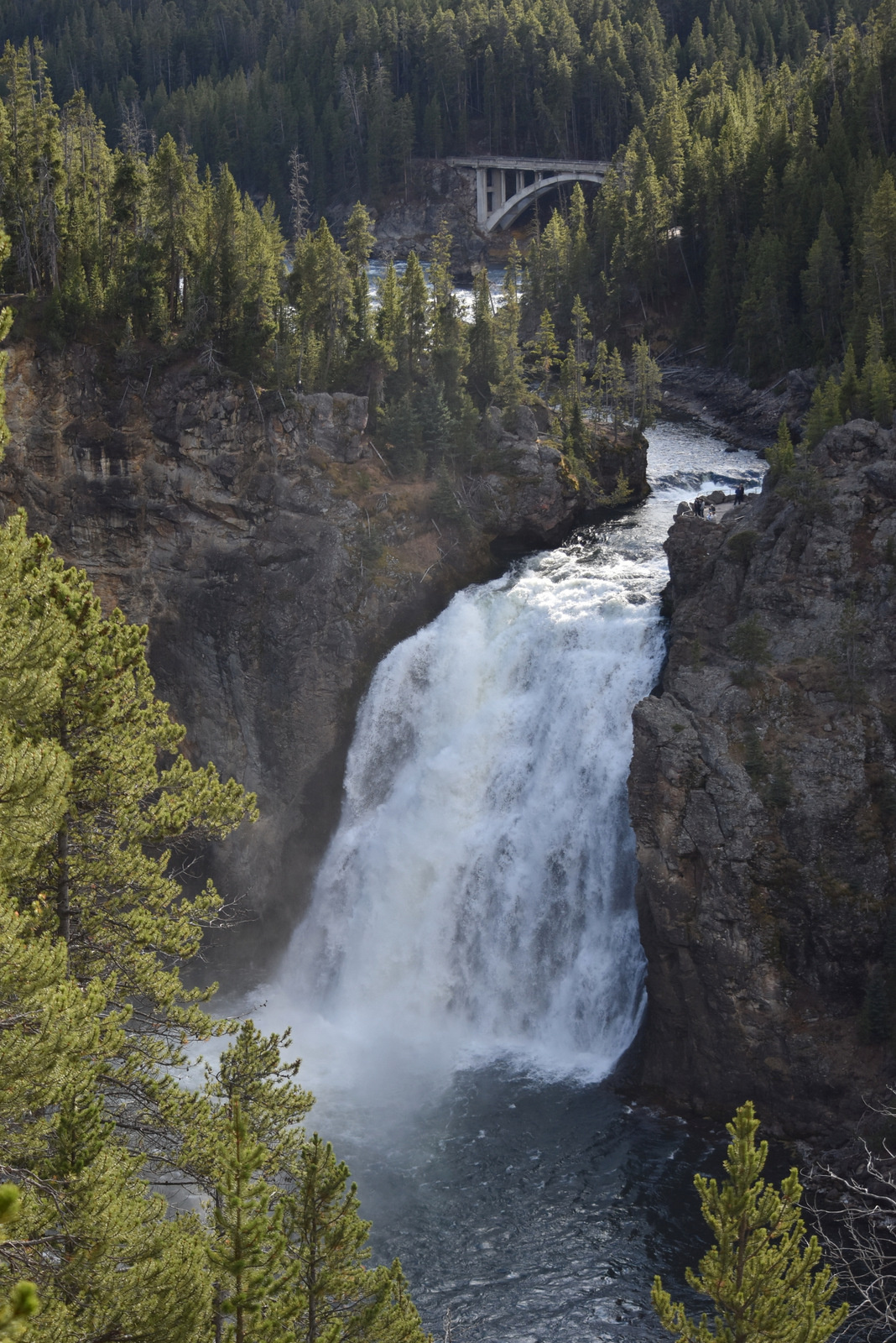 US160924 080 Yellowstone NP, WY