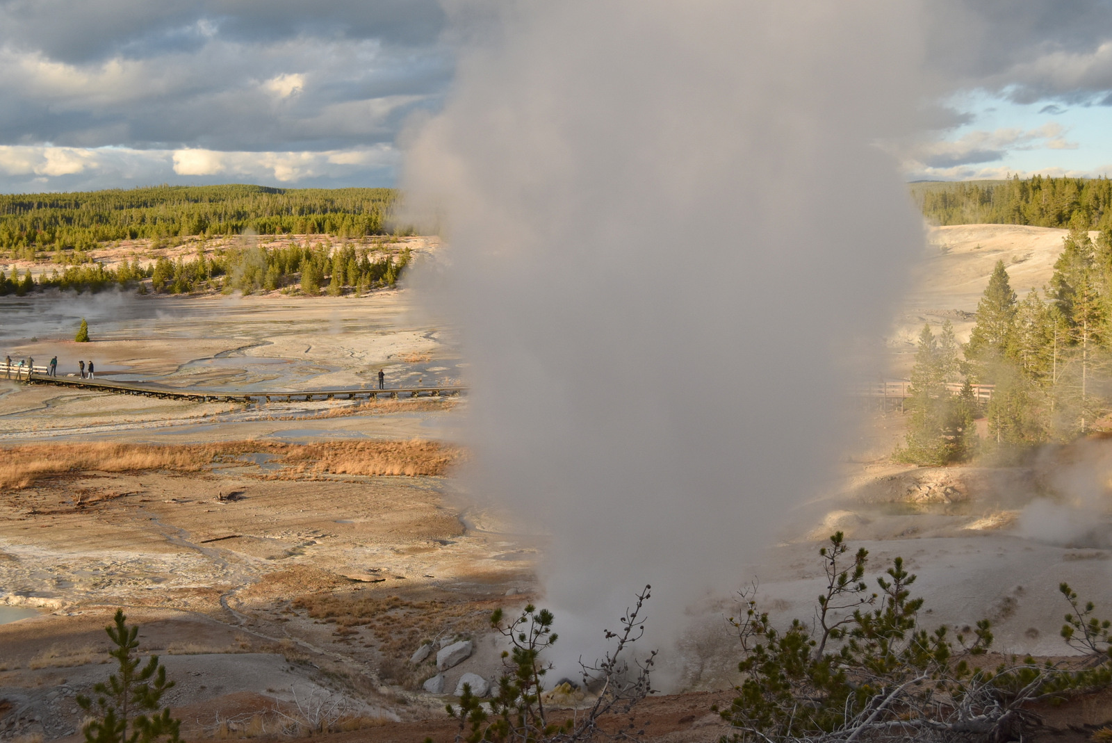 US160924 116 Yellowstone NP, WY