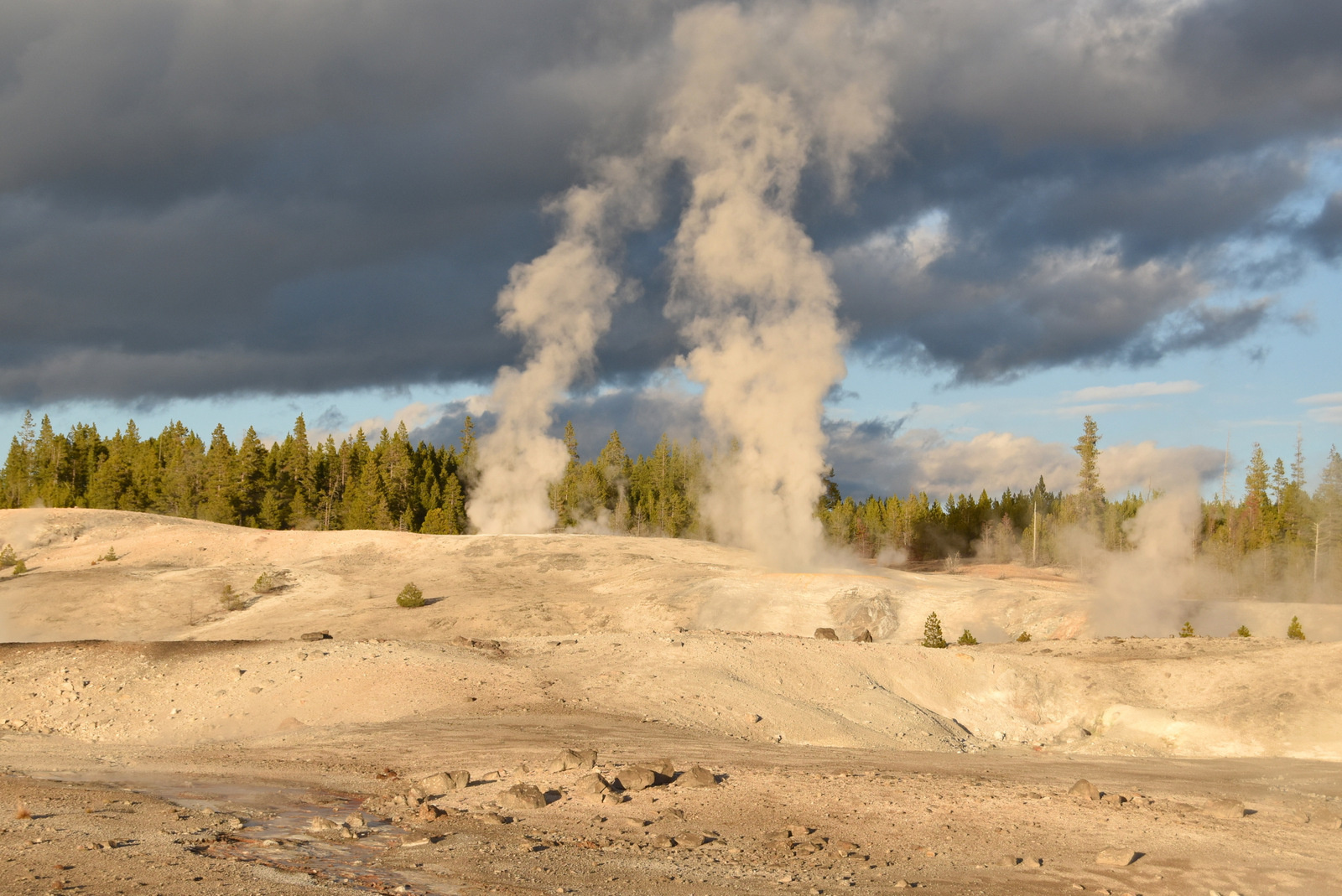 US160924 122 Yellowstone NP, WY