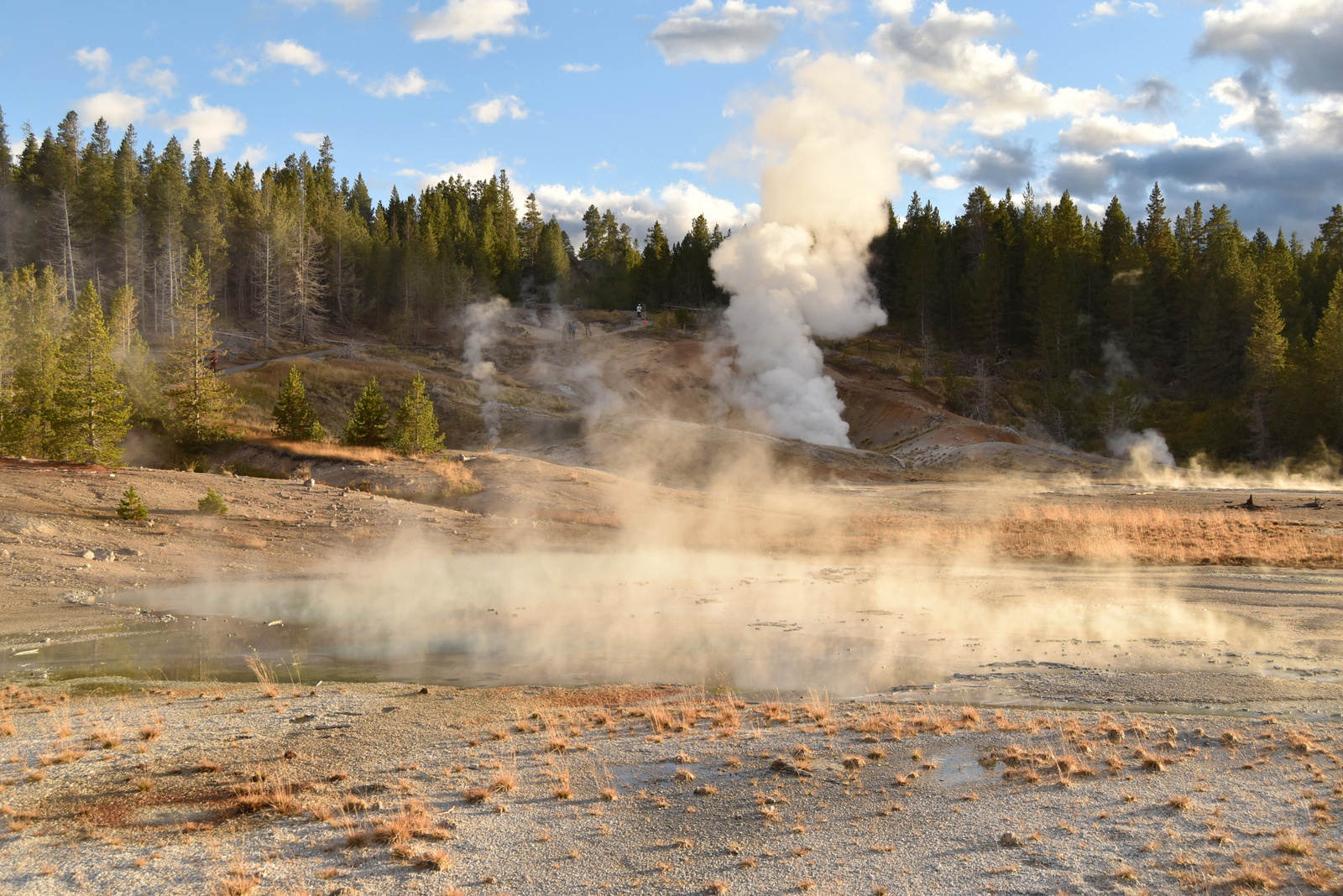 US160924 123 Yellowstone NP, WY