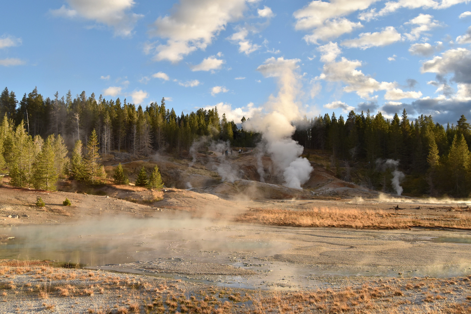 US160924 124 Yellowstone NP, WY