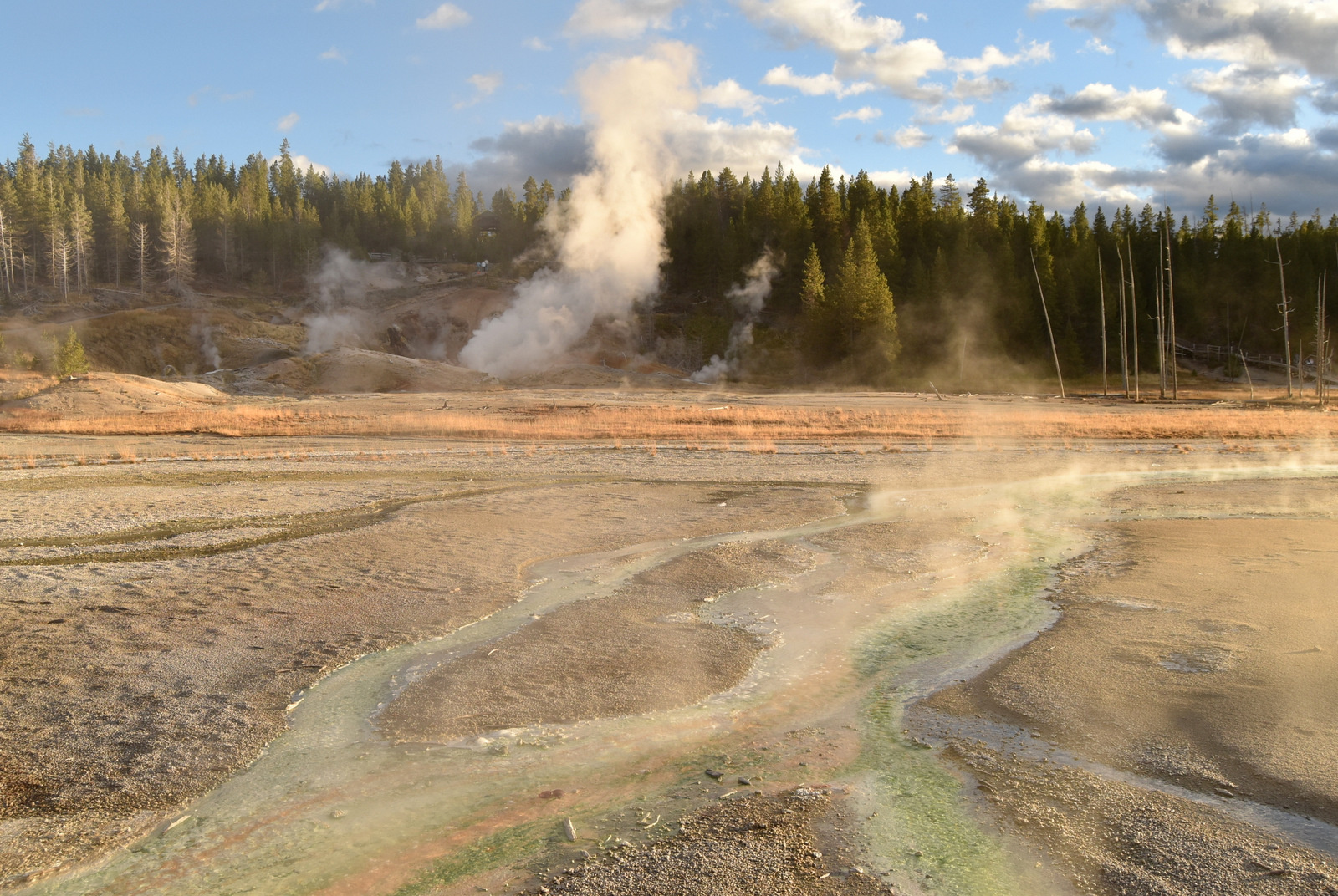 US160924 126 Yellowstone NP, WY