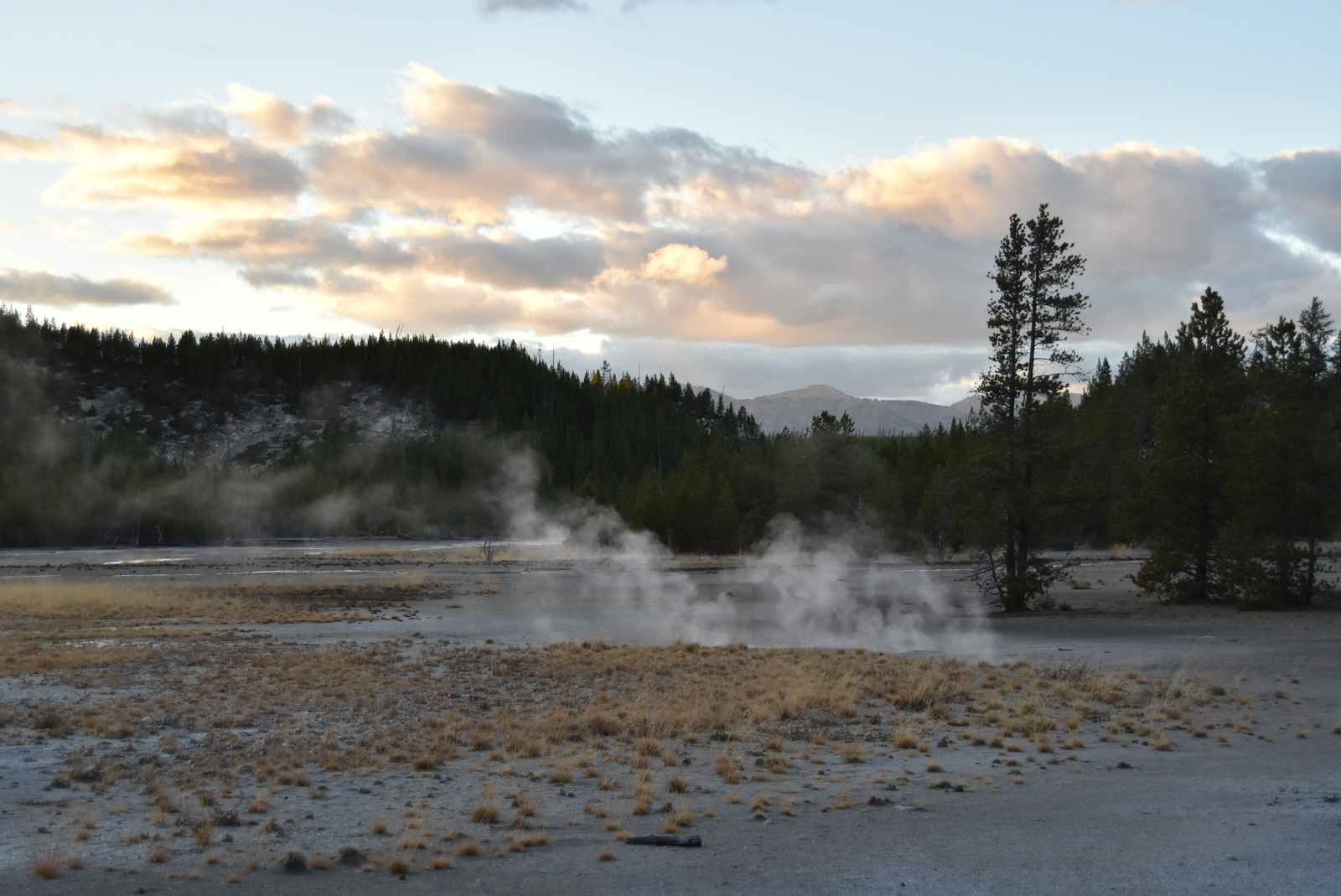 US160924 136 Yellowstone NP, WY