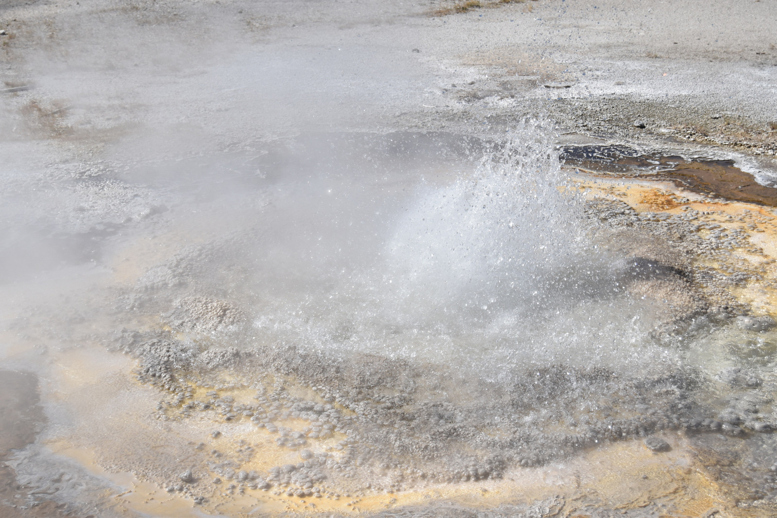 US160925 010 Yellowstone NP, WY