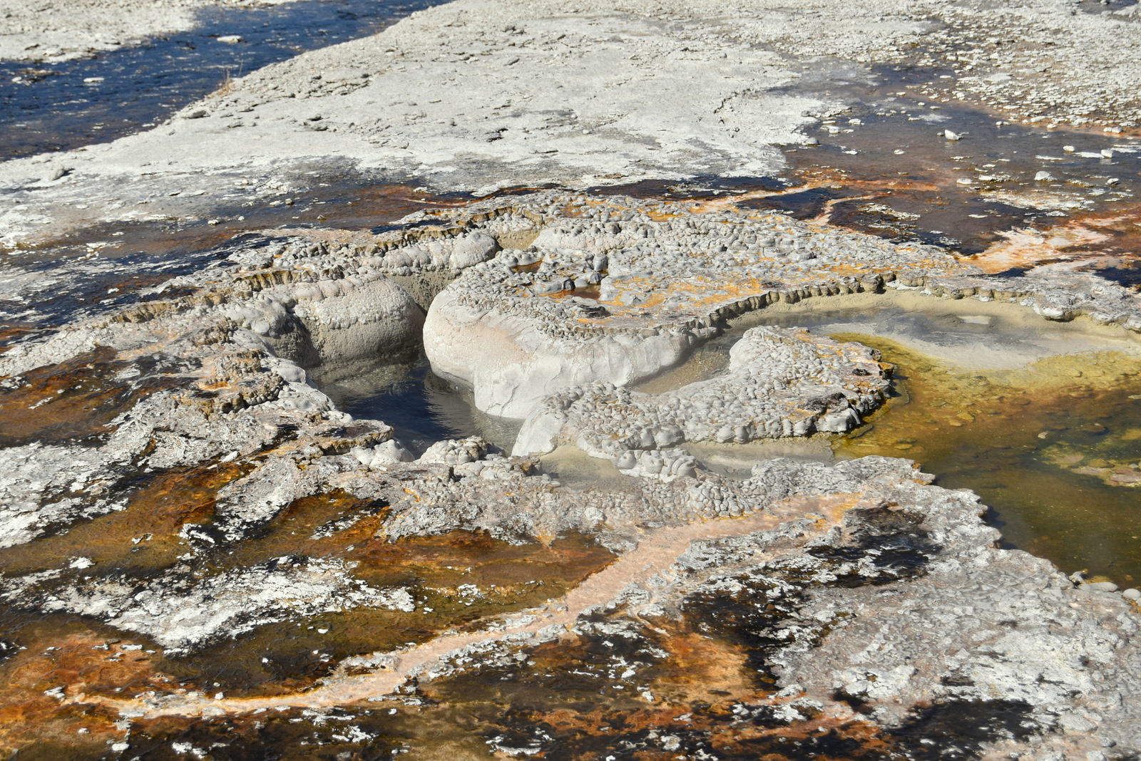 US160925 019 Yellowstone NP, WY