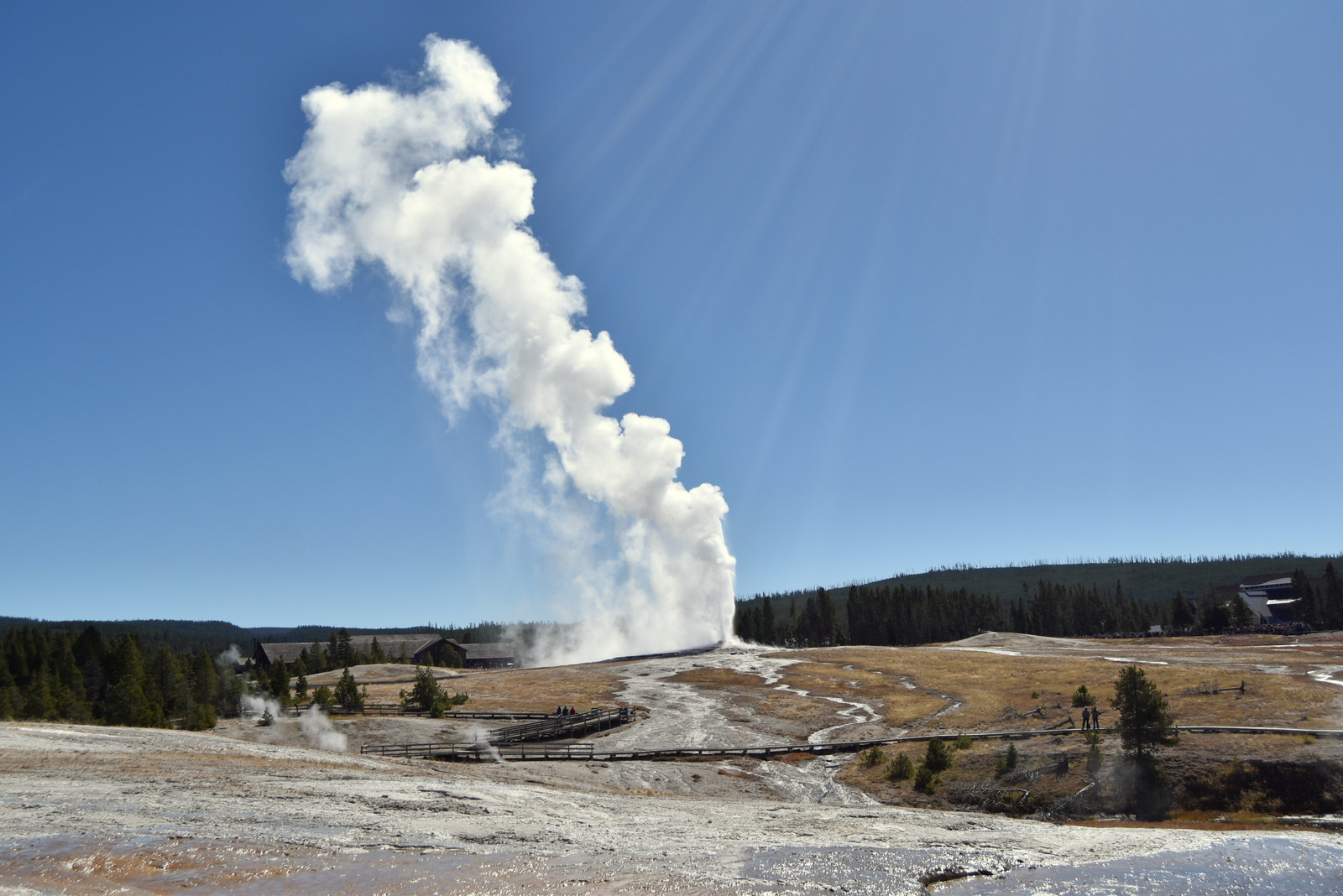 US160925 025 Yellowstone NP, WY