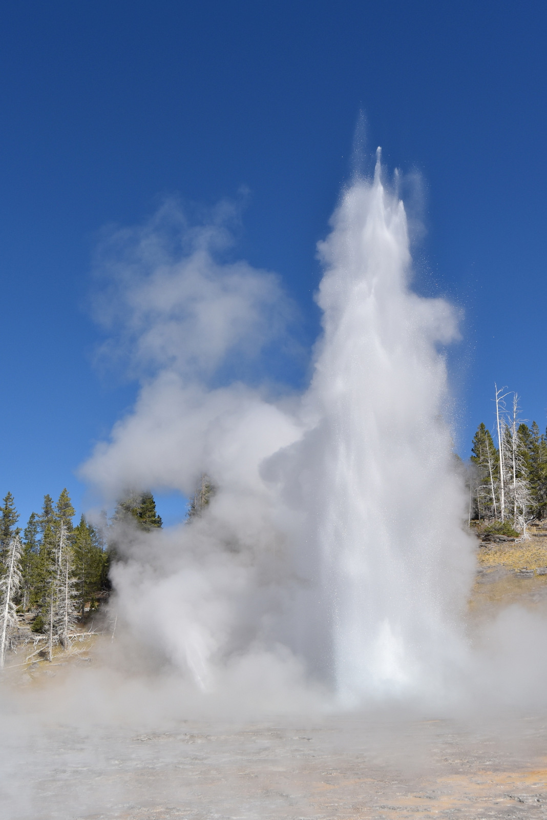 US160925 041 Yellowstone NP, WY