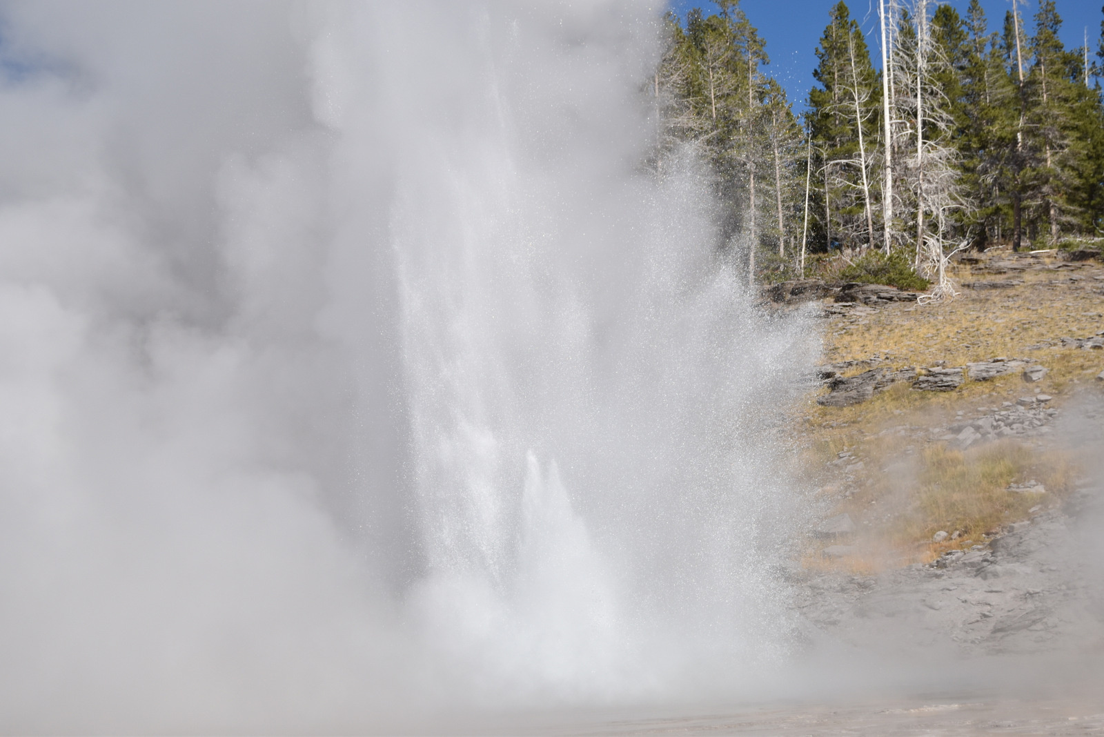 US160925 045 Yellowstone NP, WY