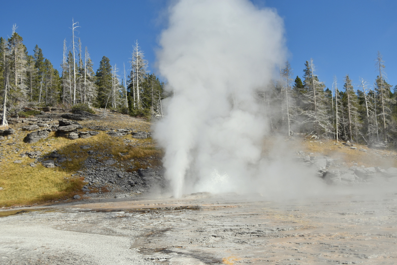 US160925 049 Yellowstone NP, WY