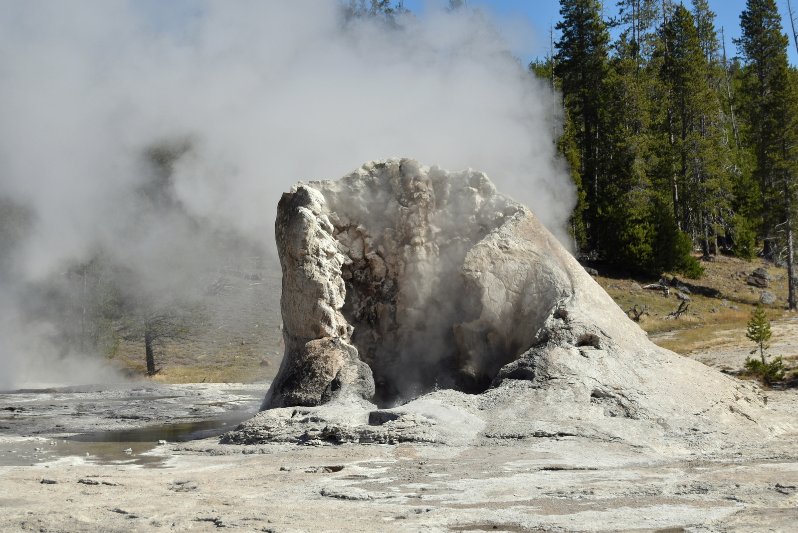 US160925 052 Yellowstone NP, WY