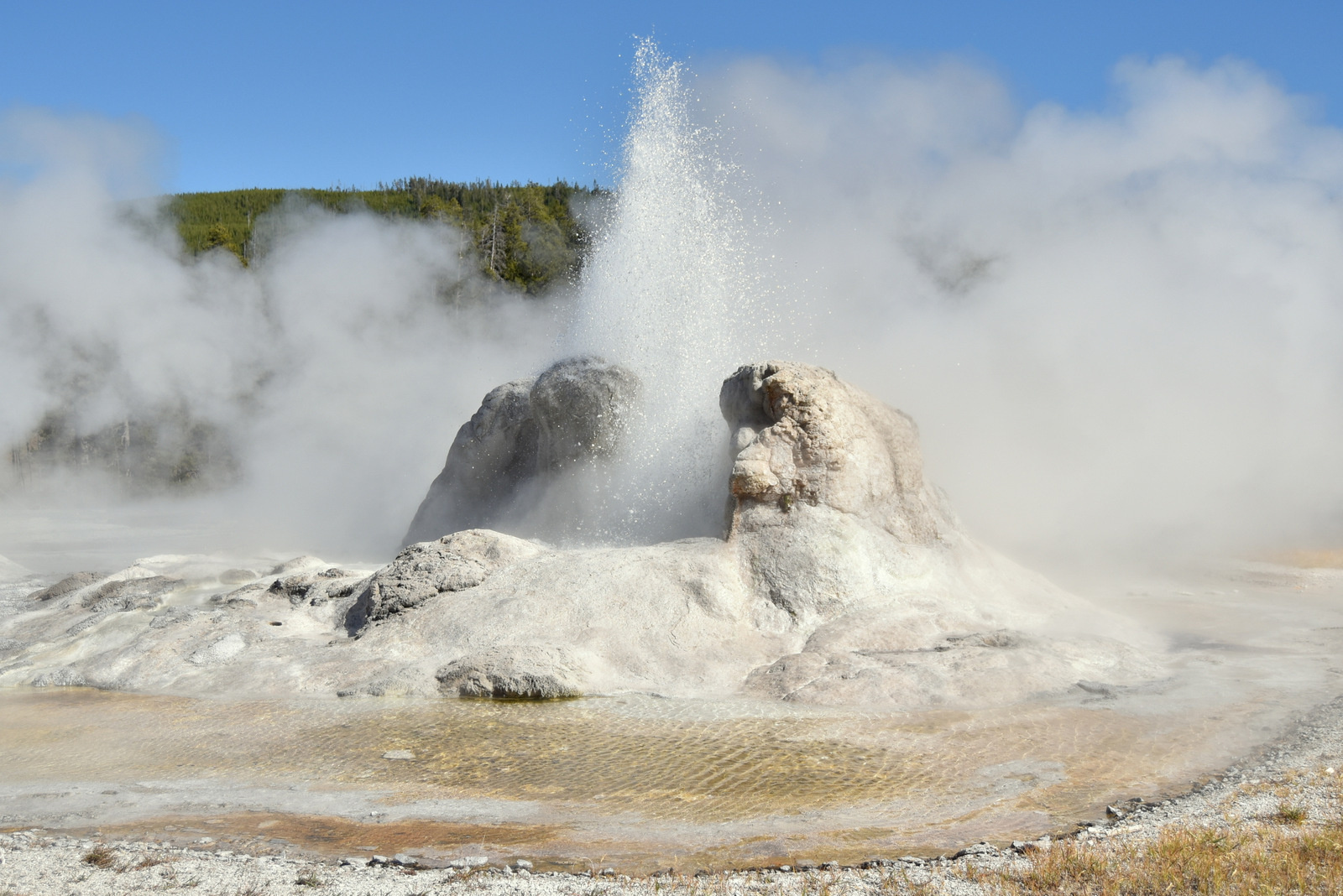 US160925 057 Yellowstone NP, WY