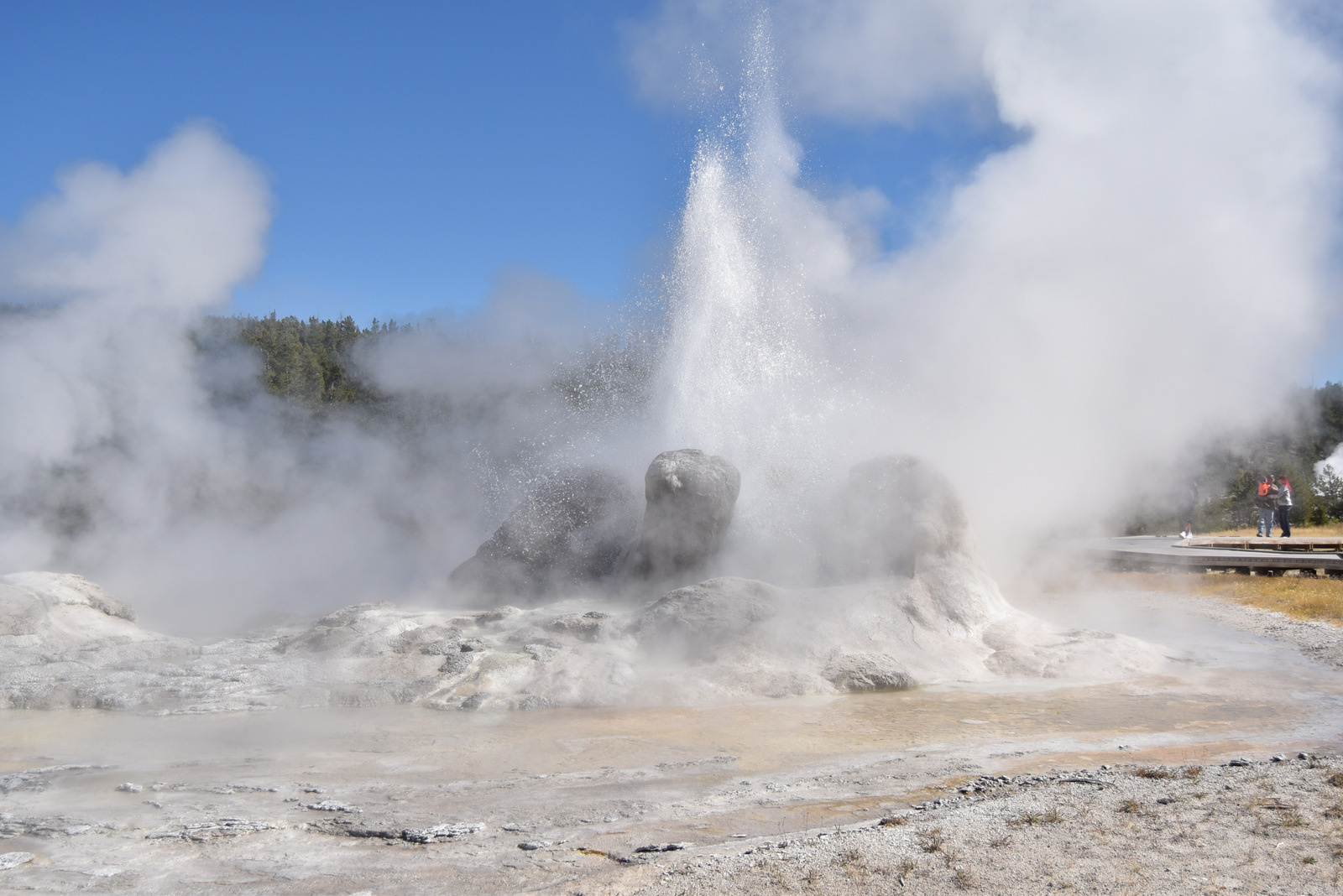 US160925 058 Yellowstone NP, WY