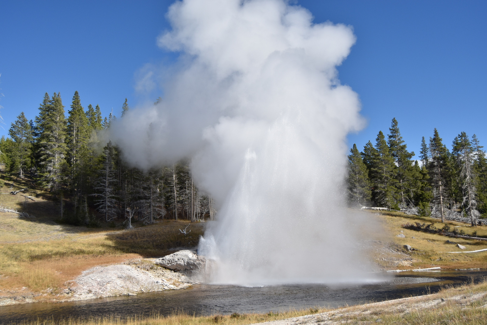 US160925 066 Yellowstone NP, WY