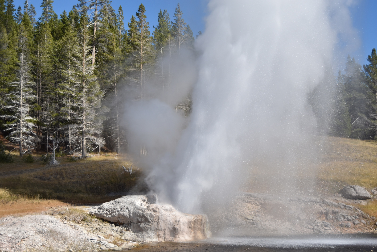 US160925 072 Yellowstone NP, WY