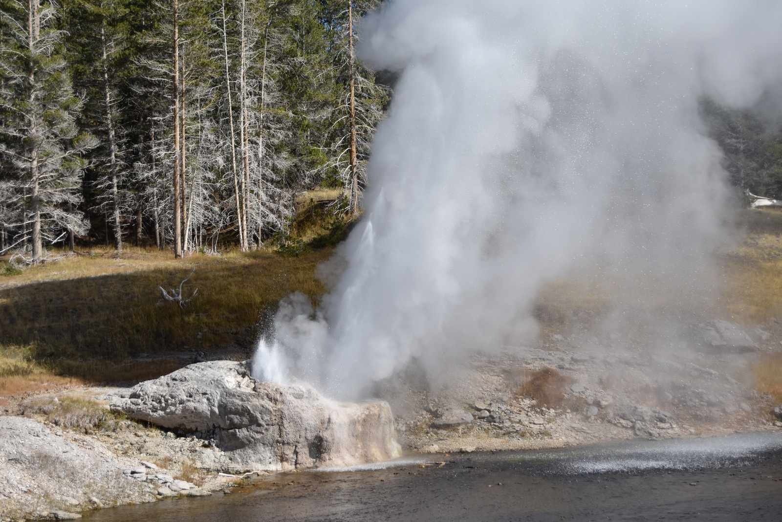 US160925 079 Yellowstone NP, WY