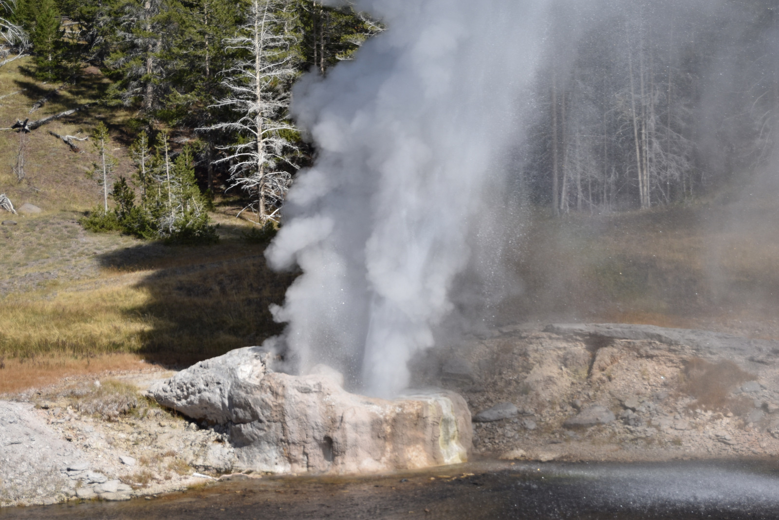 US160925 080 Yellowstone NP, WY