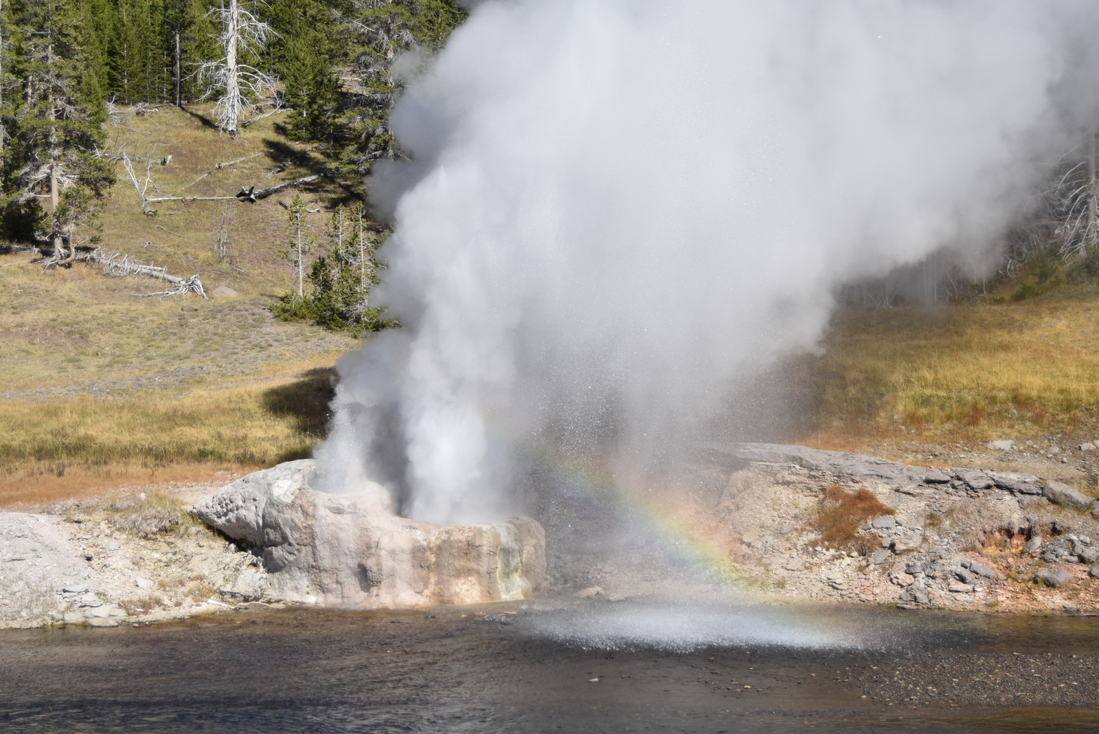 US160925 082 Yellowstone NP, WY