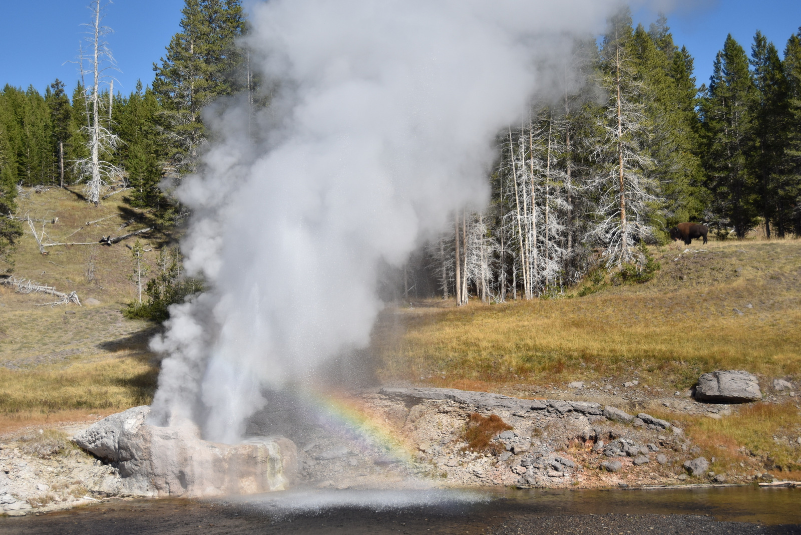 US160925 087 Yellowstone NP, WY