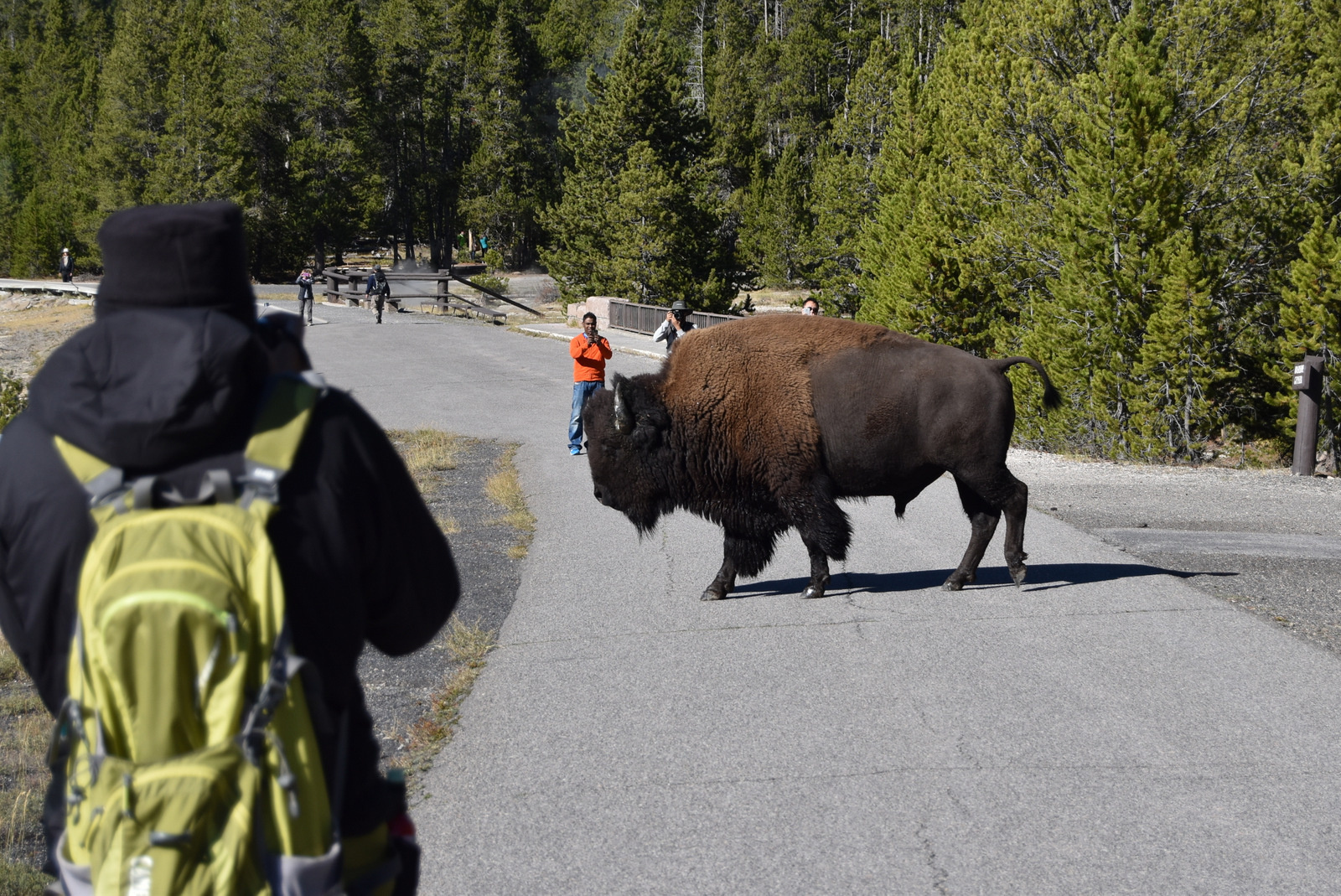 US160925 097 Yellowstone NP, WY