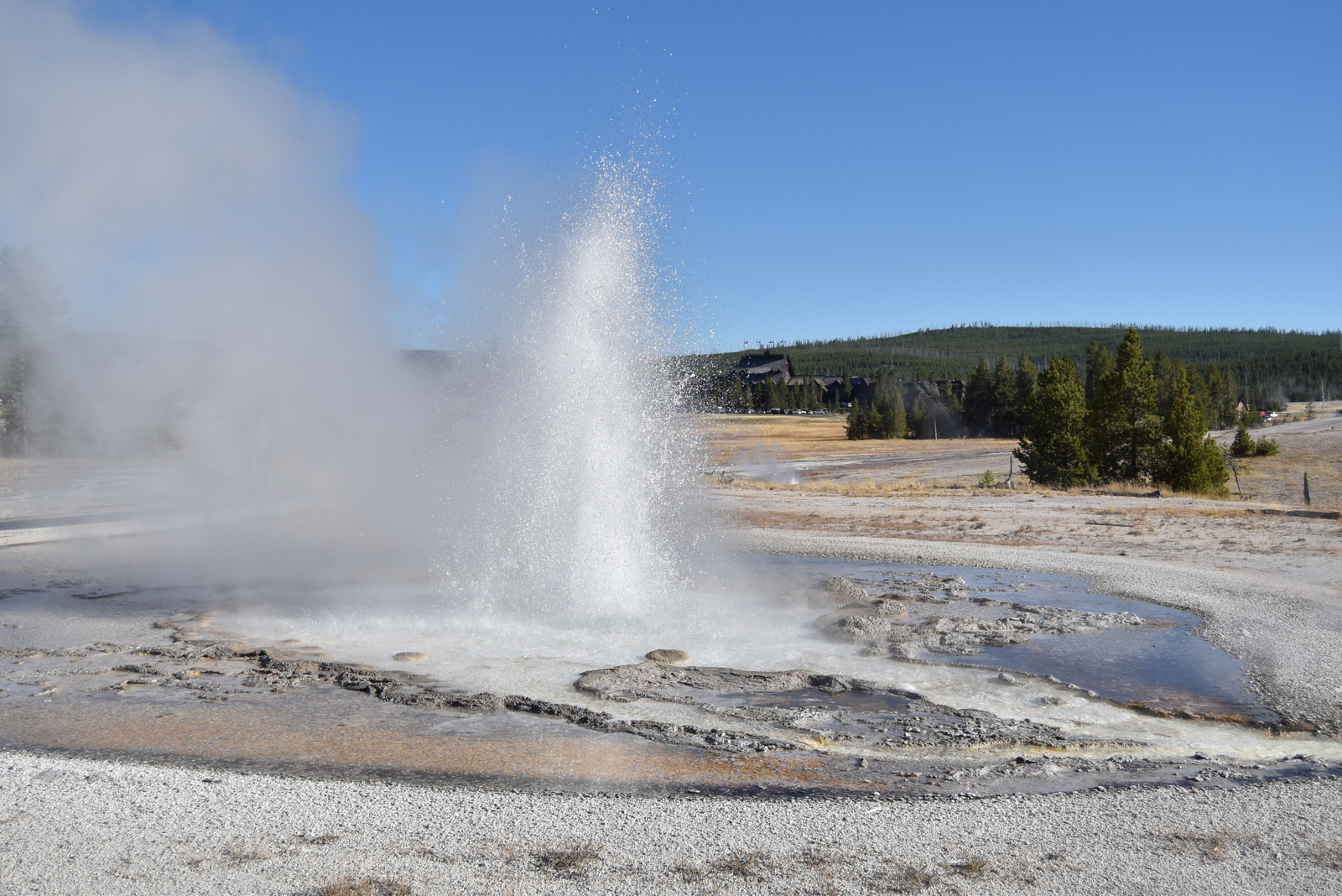 US160925 113 Yellowstone NP, WY