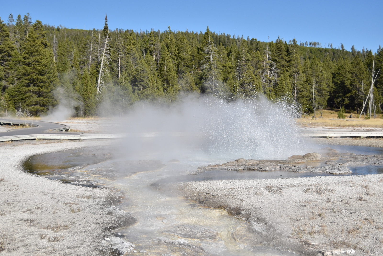 US160925 115 Yellowstone NP, WY