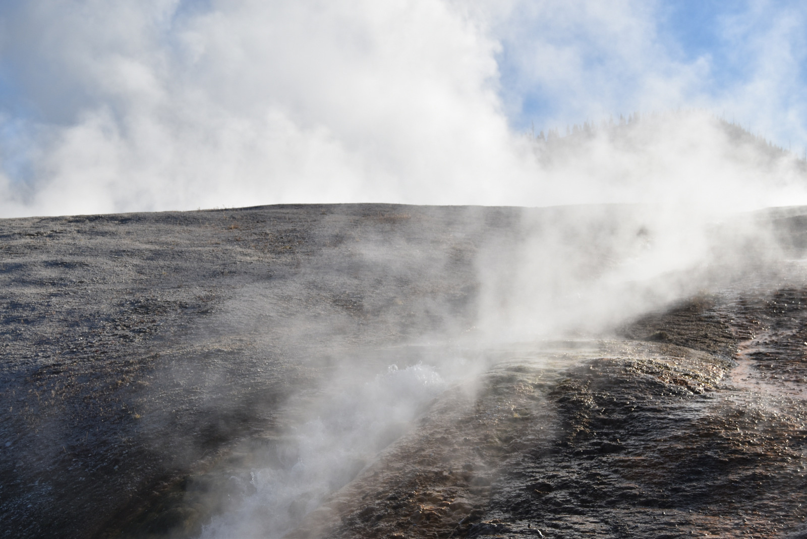 US160925 124 Yellowstone NP, WY