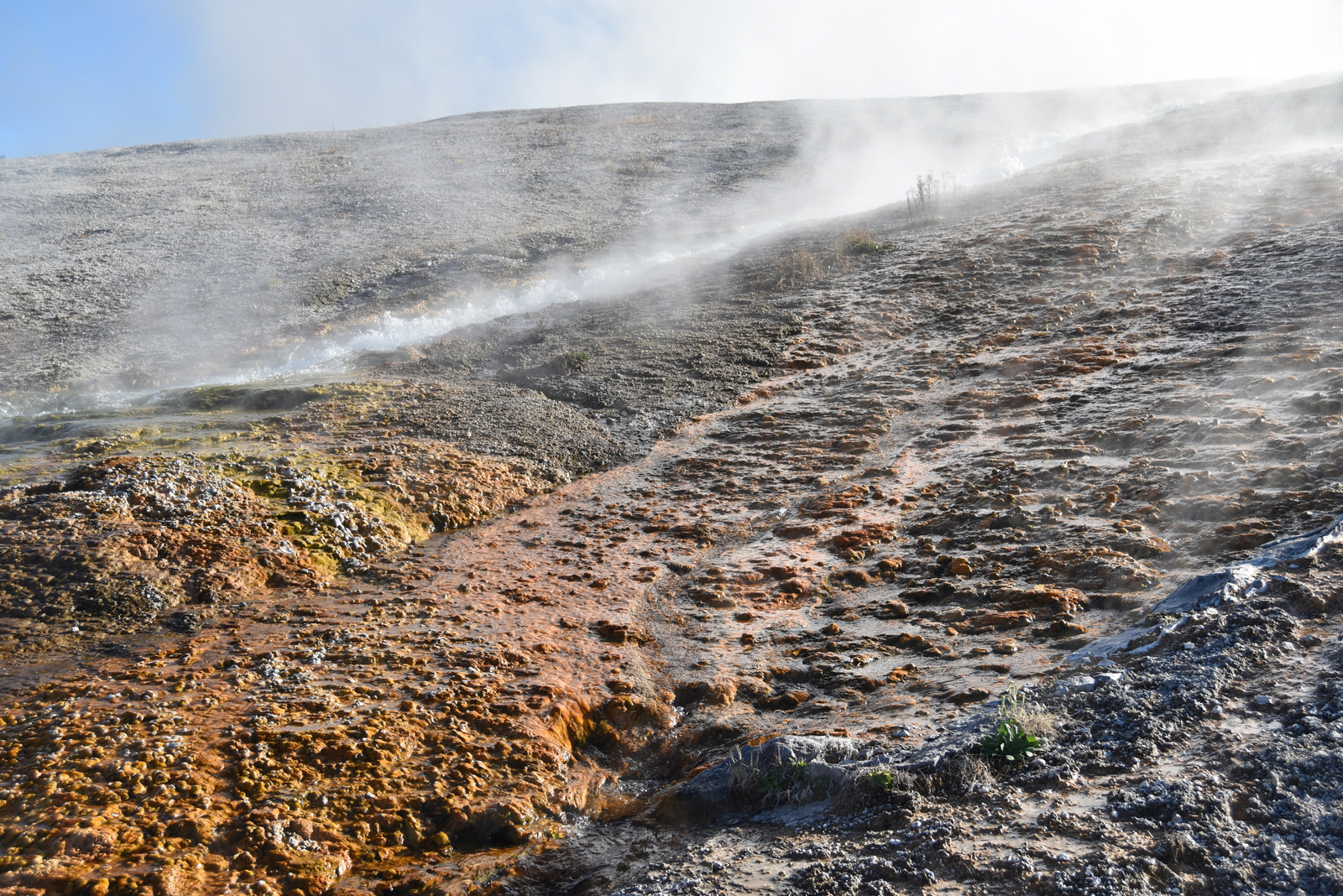 US160925 125 Yellowstone NP, WY