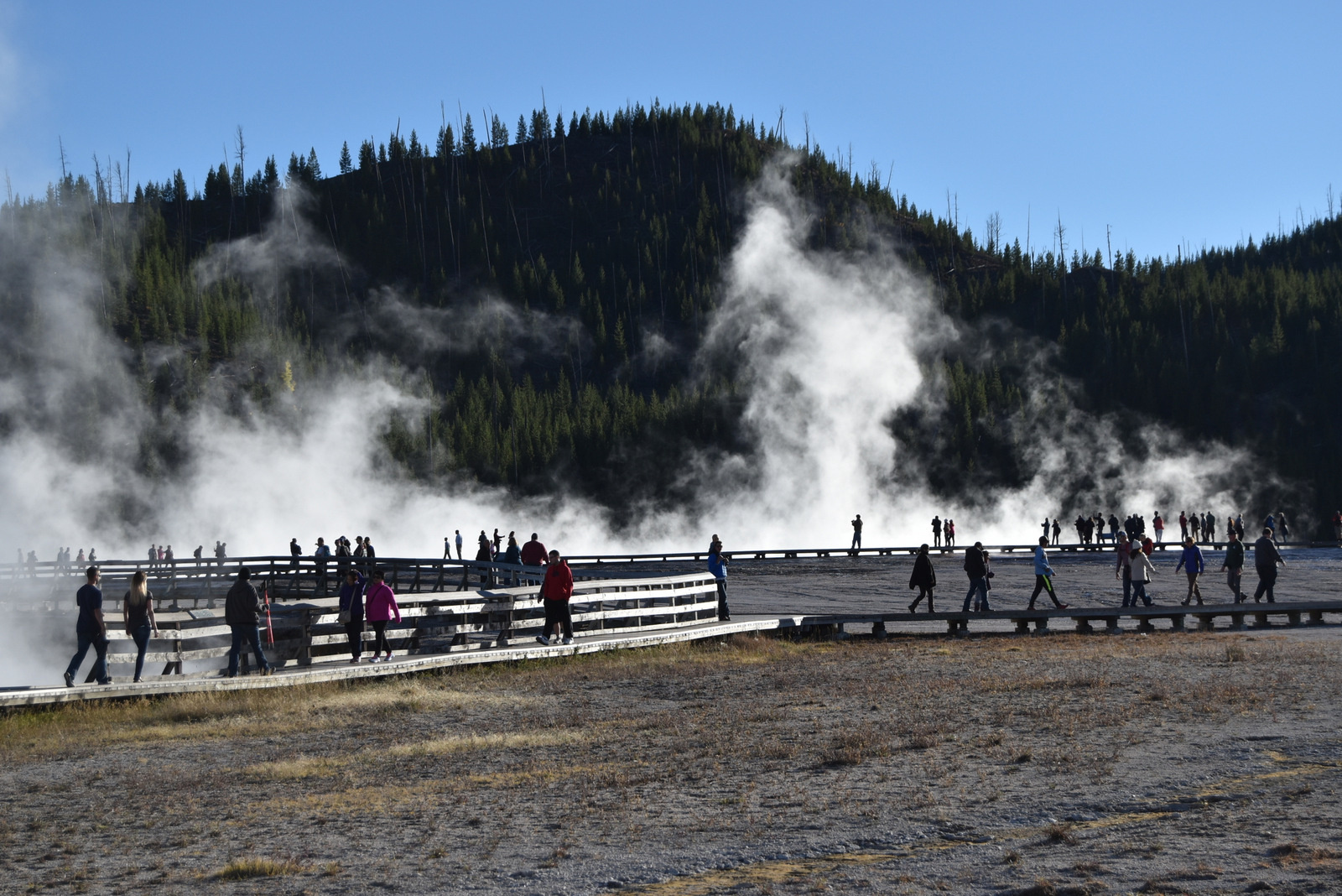 US160925 126 Yellowstone NP, WY