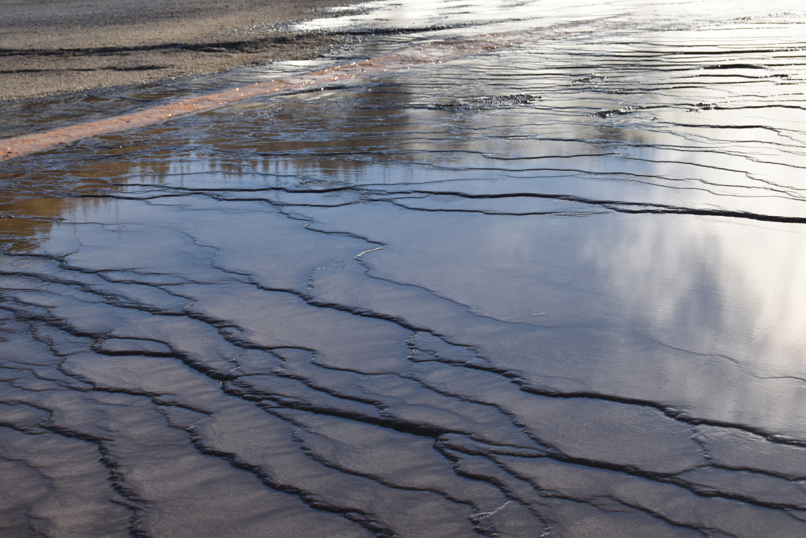 US160925 137 Yellowstone NP, WY