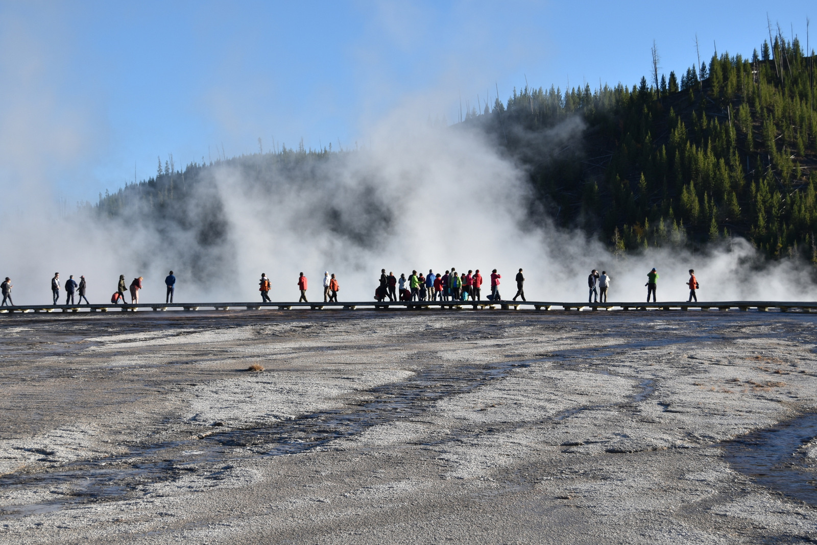 US160925 153 Yellowstone NP, WY