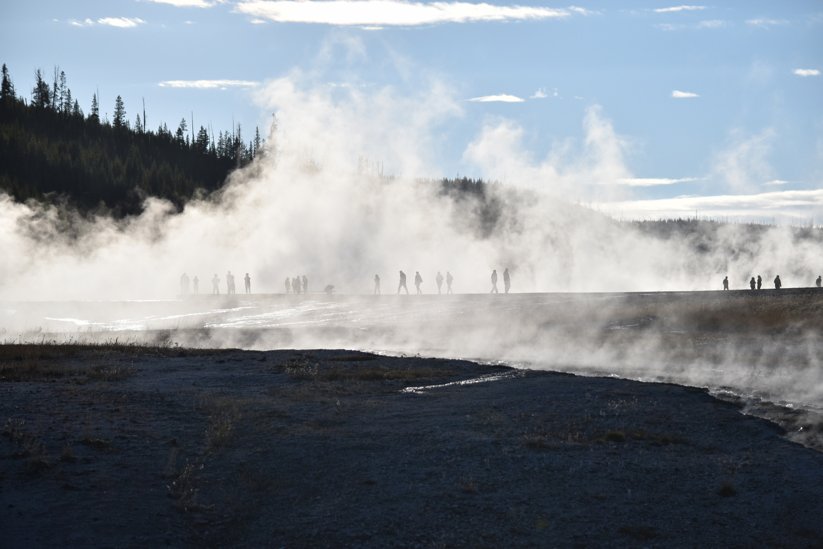 US160925 156 Yellowstone NP, WY