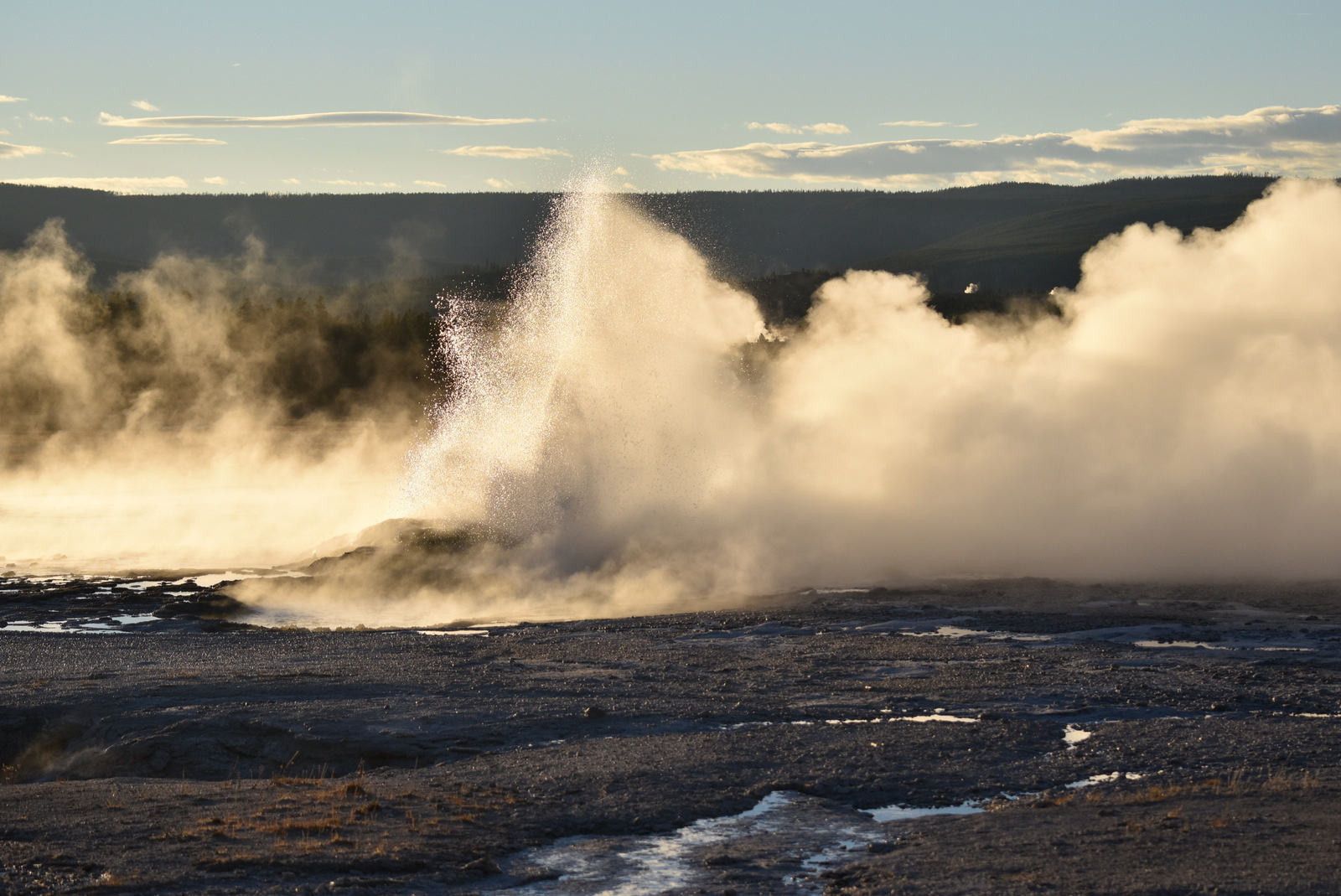 US160925 179 Yellowstone NP, WY