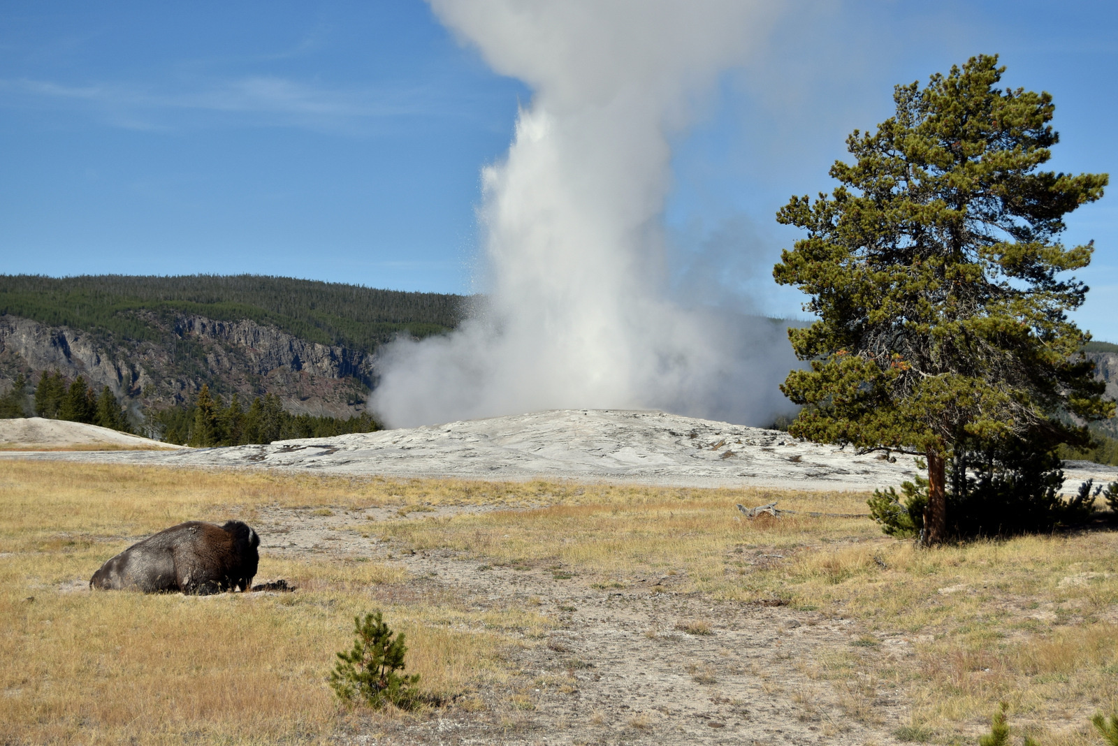 US160926 010 Yellowstone NP, WY