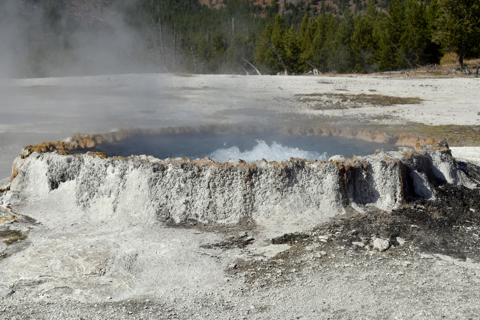 US160926 042 Yellowstone NP, WY