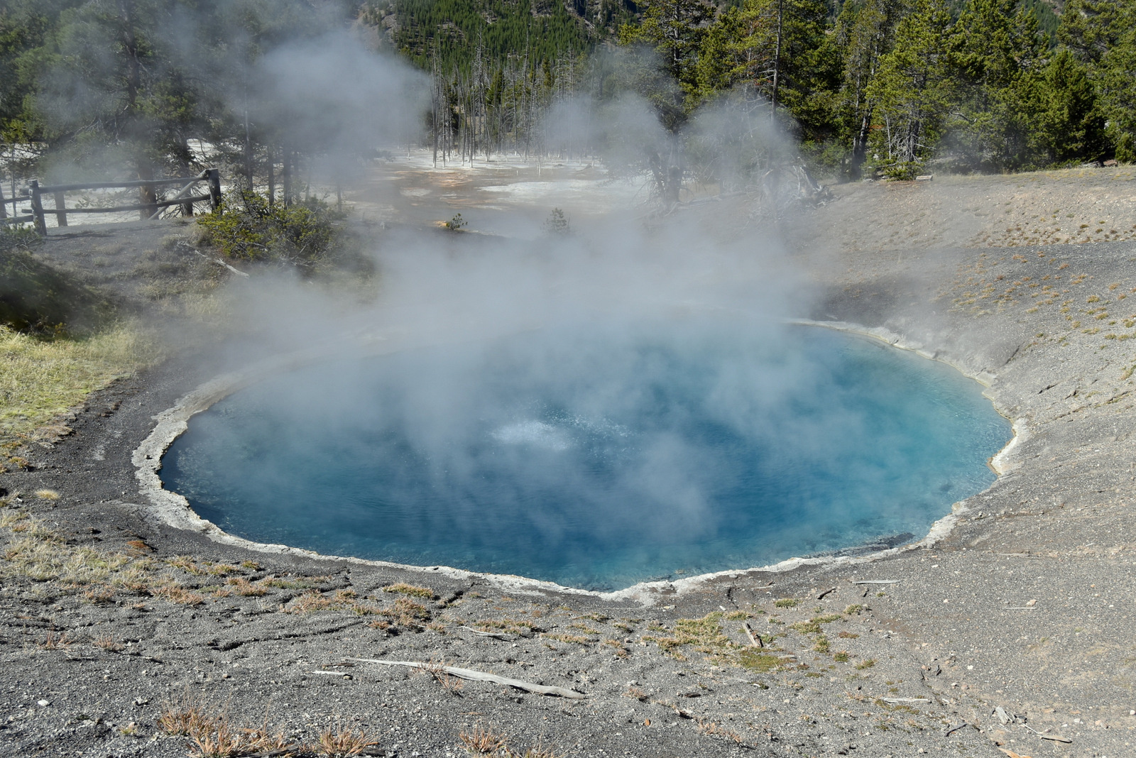 US160926 046 Yellowstone NP, WY