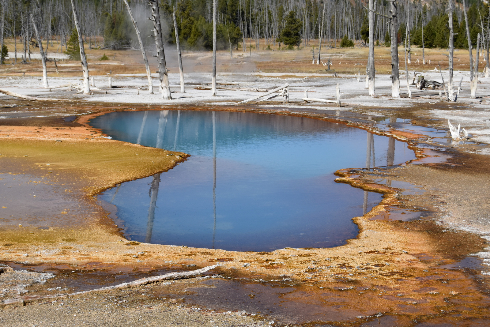 US160926 051 Yellowstone NP, WY