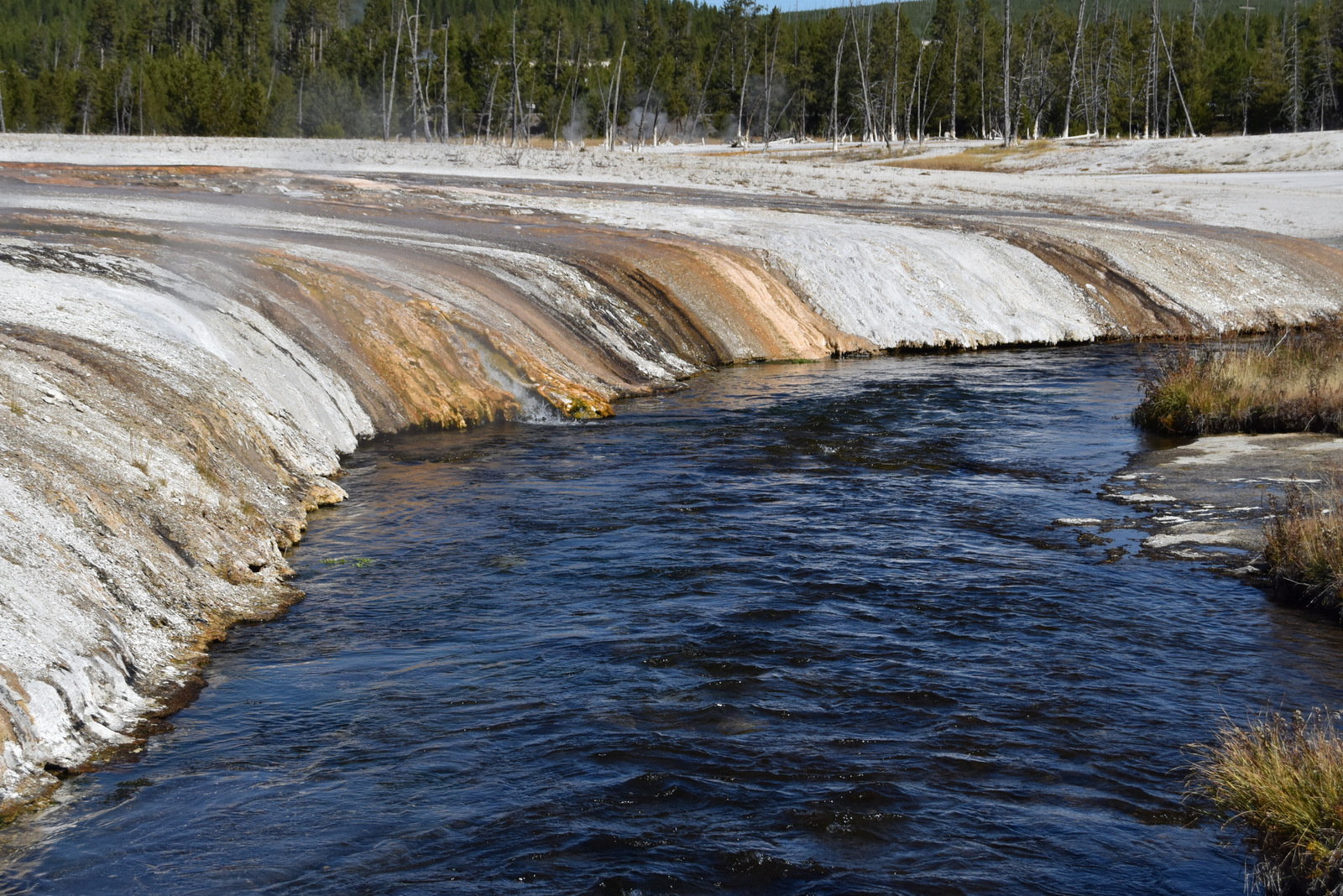 US160926 054 Yellowstone NP, WY